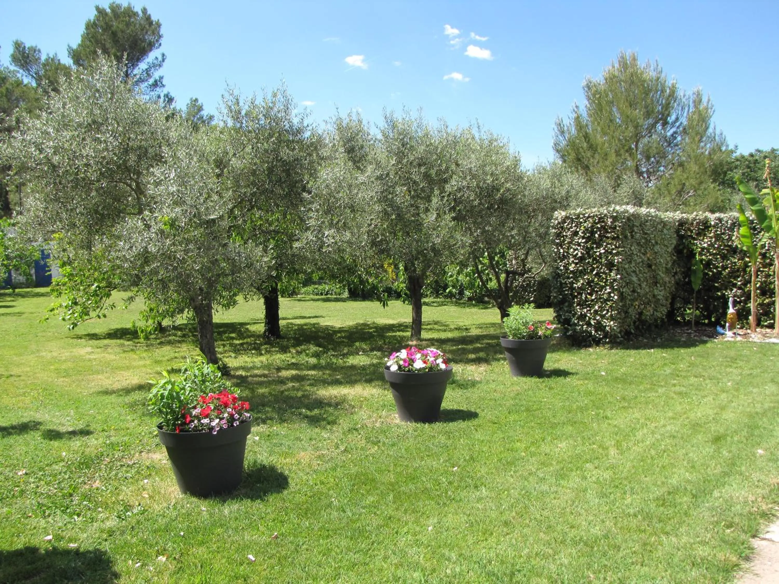 Garden view in Casa Rurale Lou Pichoun Nis