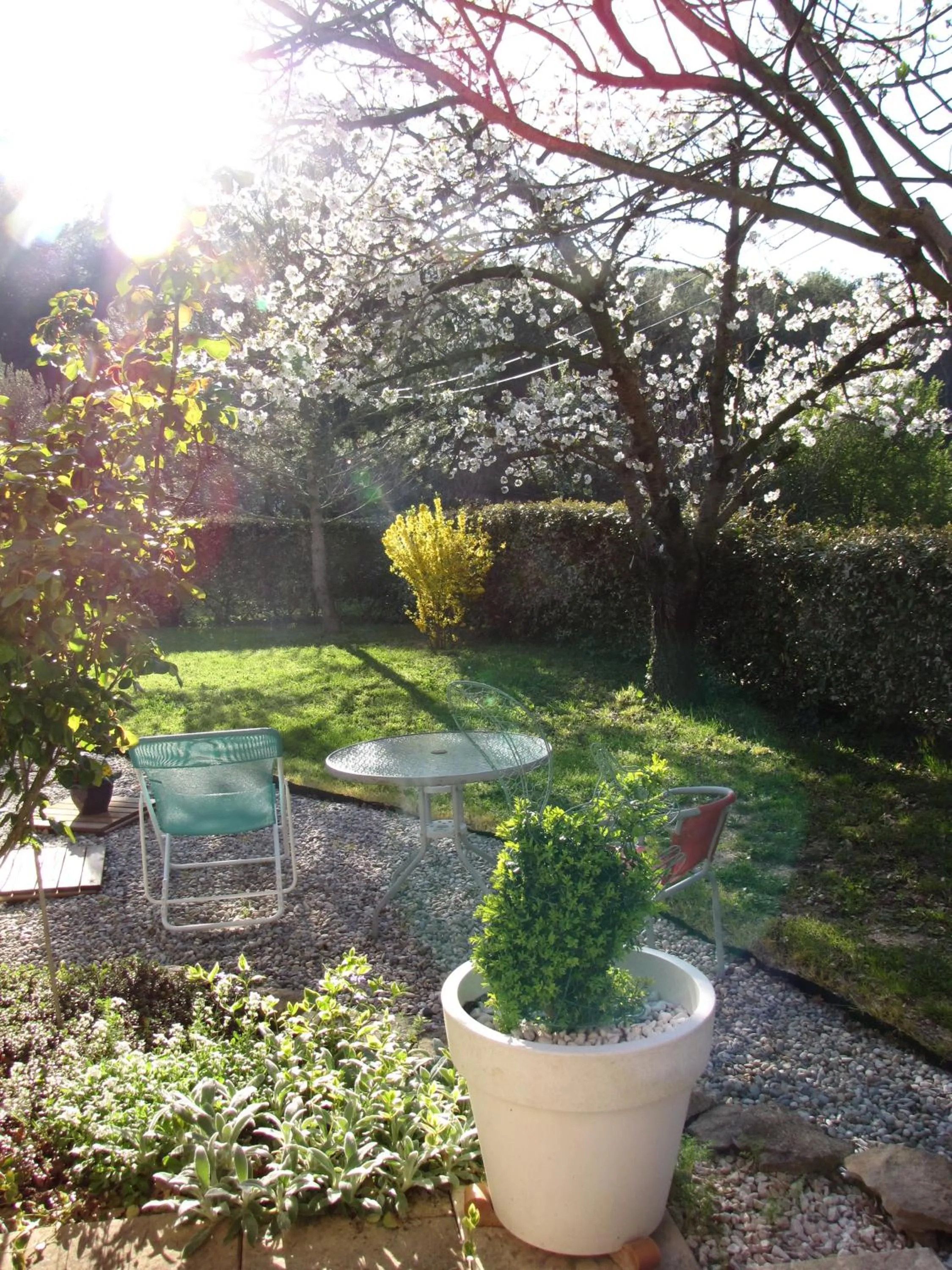 Spring in Casa Rurale Lou Pichoun Nis