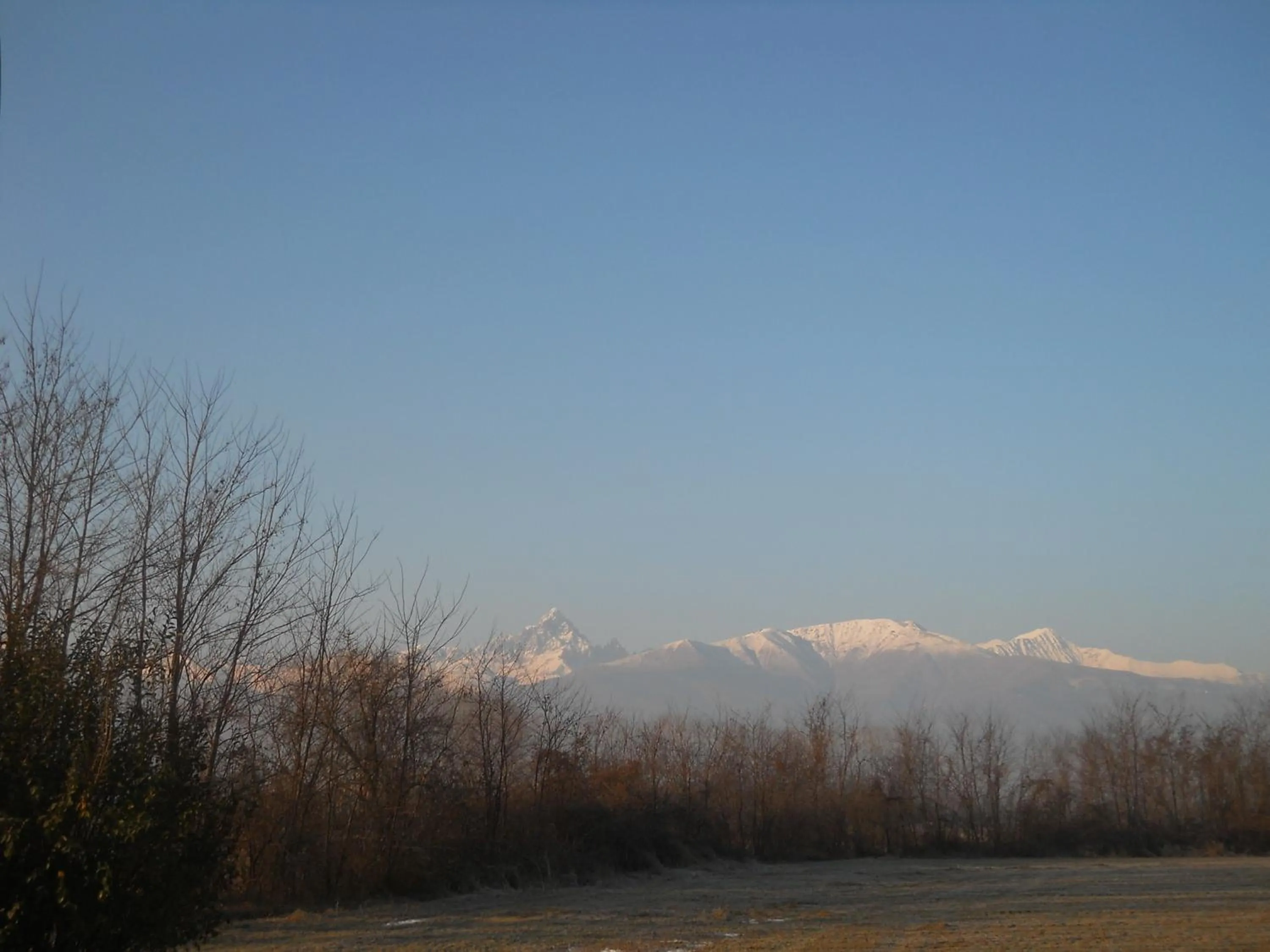 Natural landscape in I 99 ulivi