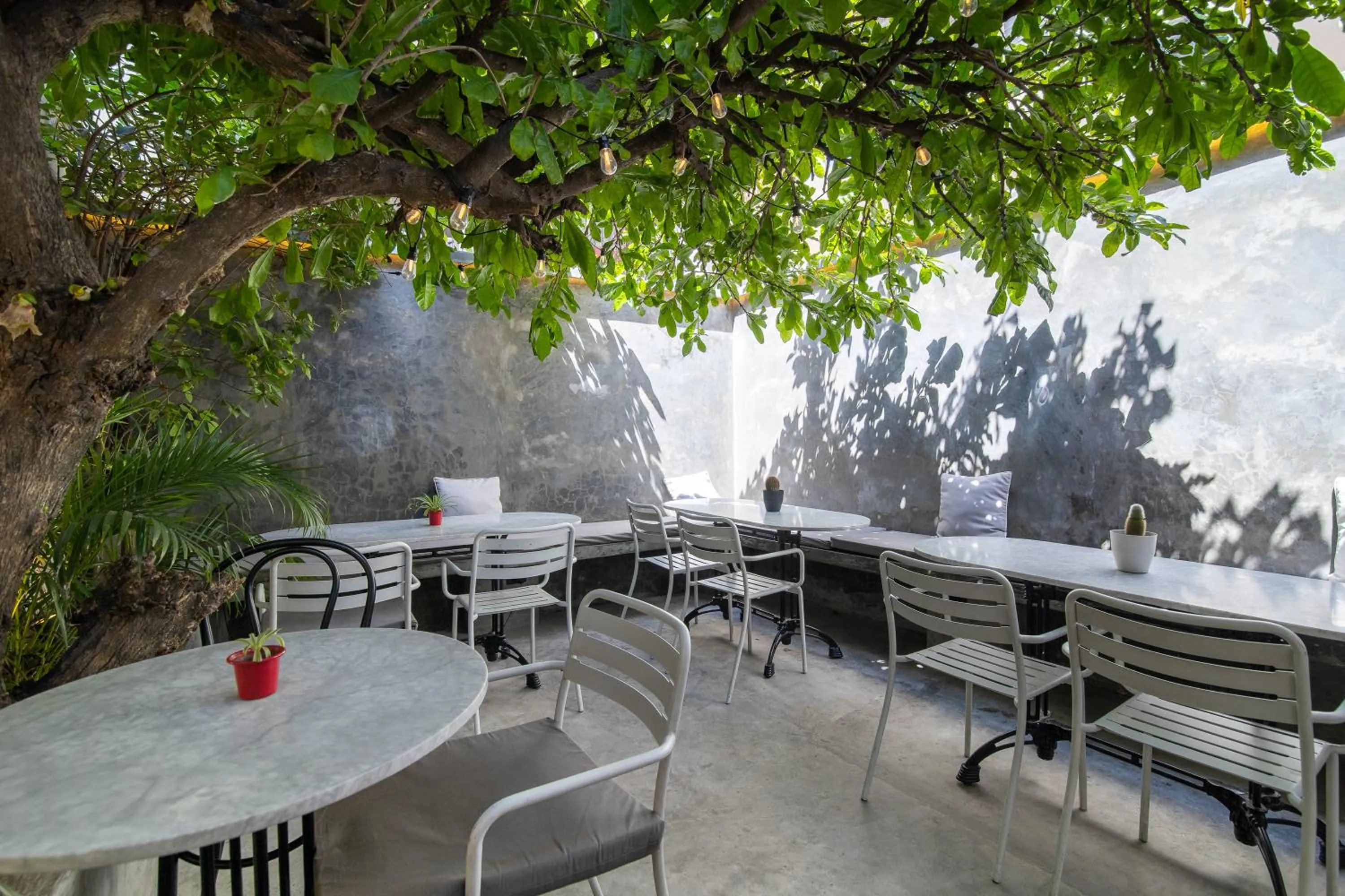 Patio in Cosmopolitano Hotel Boutique