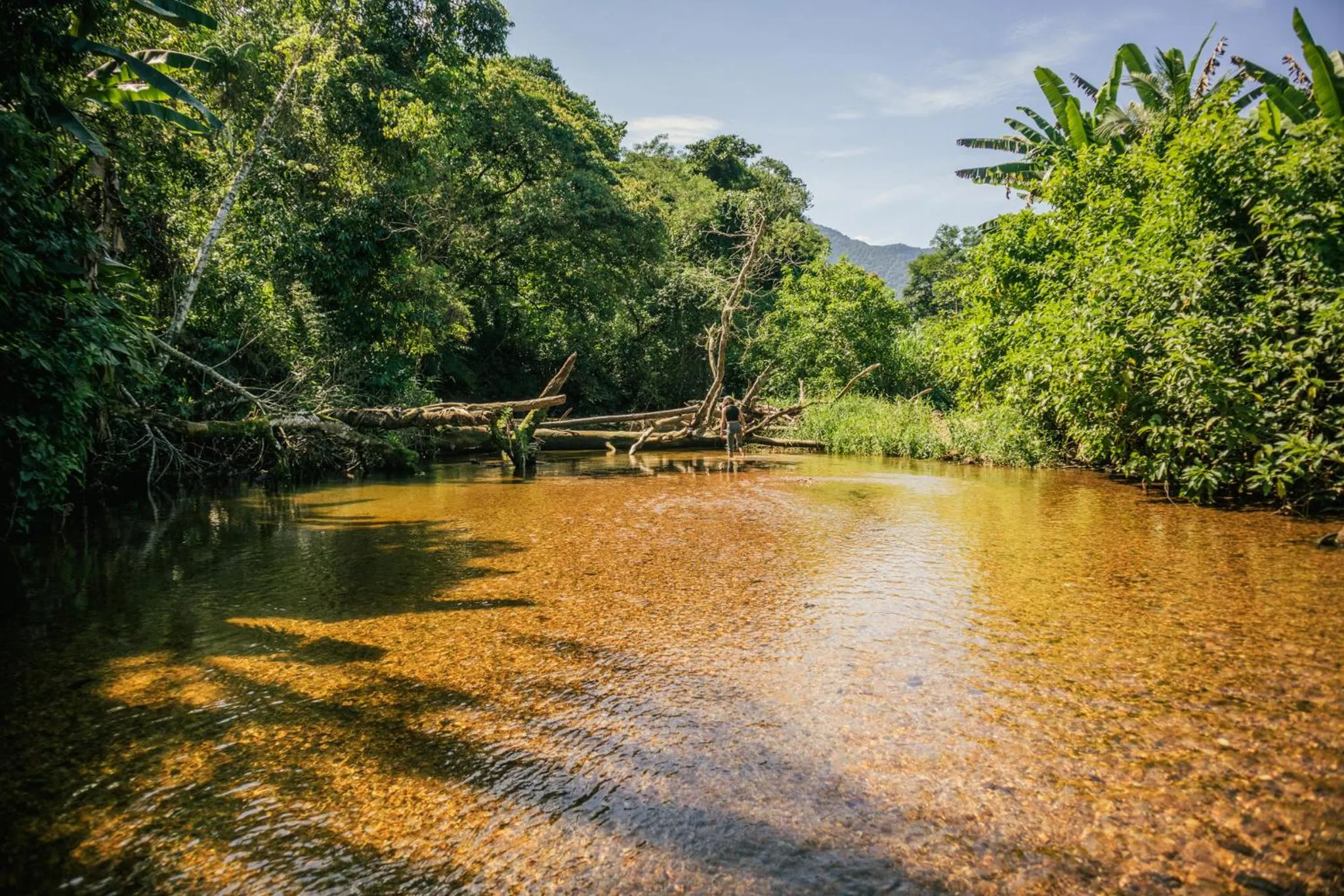 Natural landscape in Banana Bamboo Ecolodge