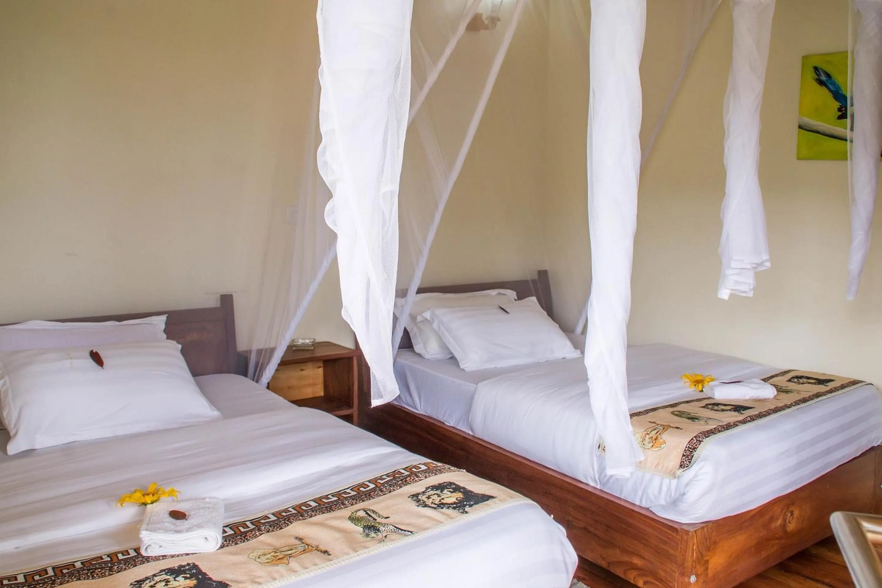 Photo of the whole room, Bed in Ichumbi Gorilla Lodge
