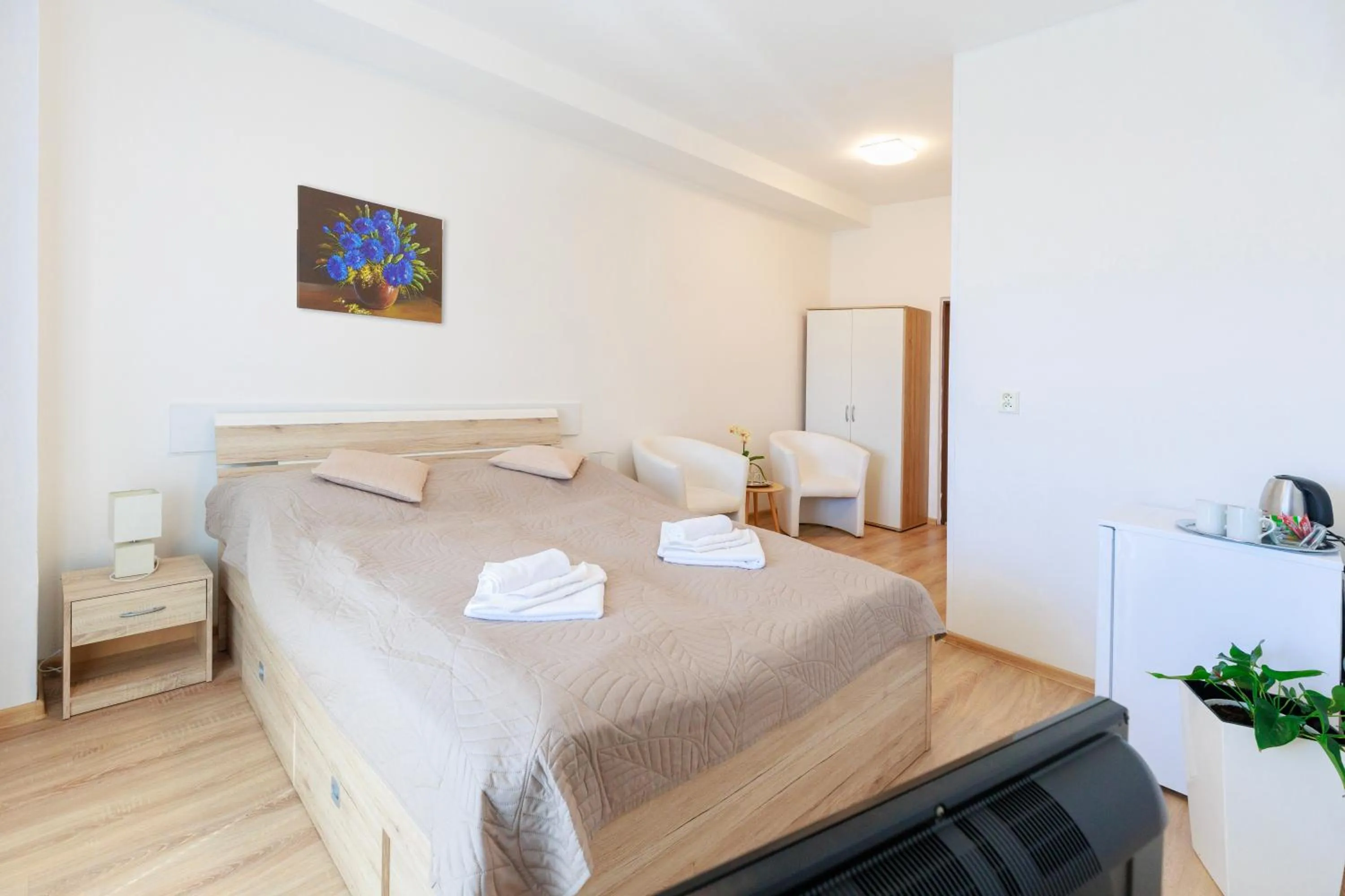 Photo of the whole room, Bed in Agro Complex Apartments