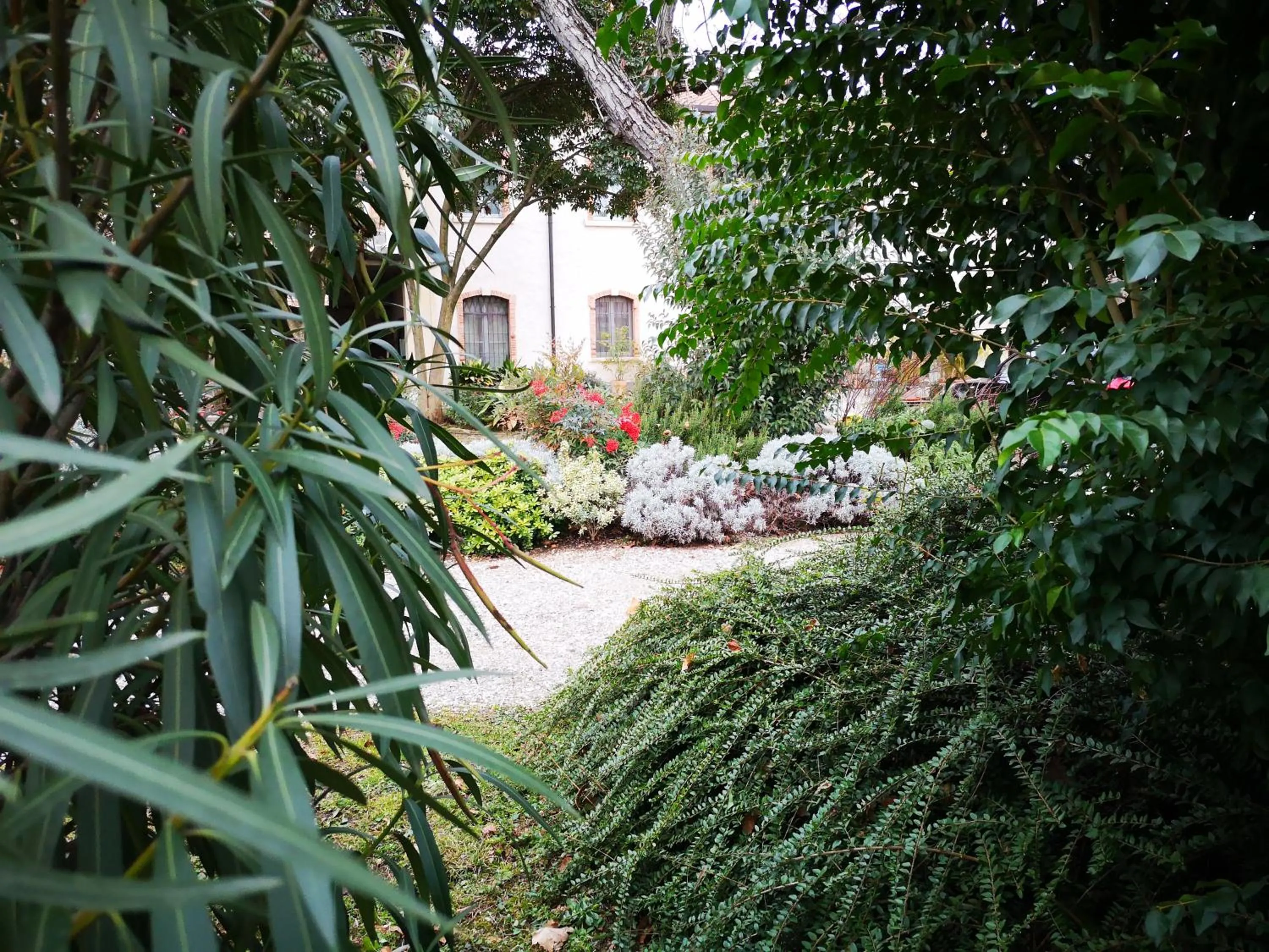 Garden in B&B Molino2Rosso