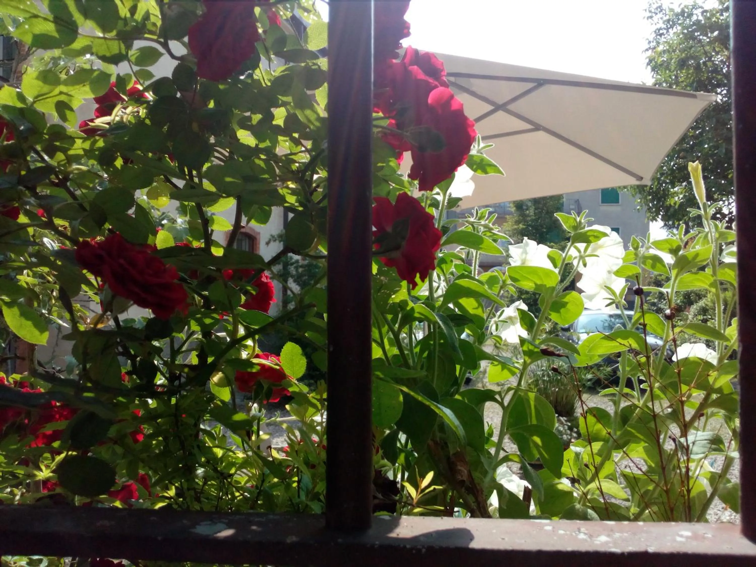 Spring in B&B Molino2Rosso