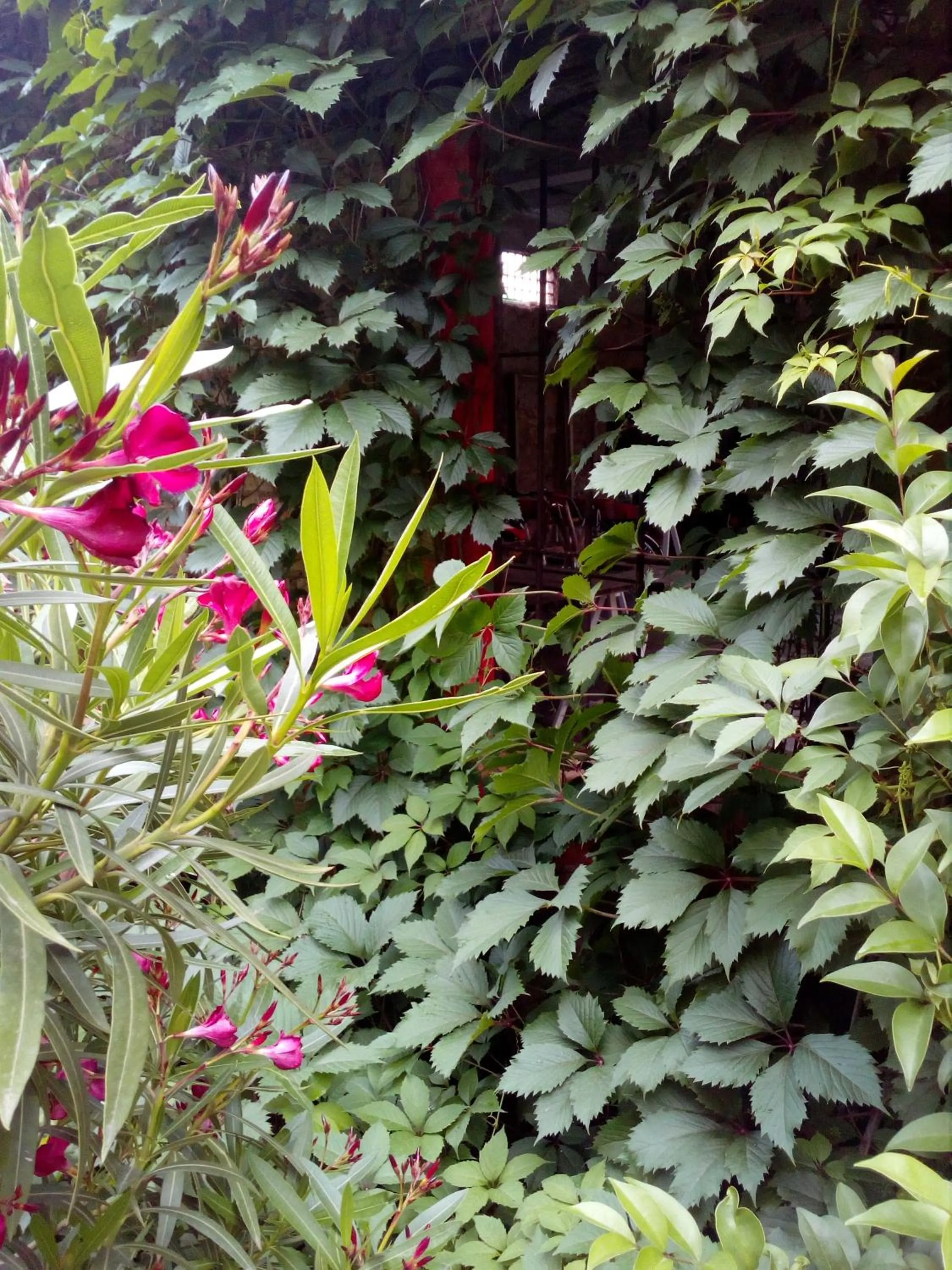 Garden in B&B Molino2Rosso