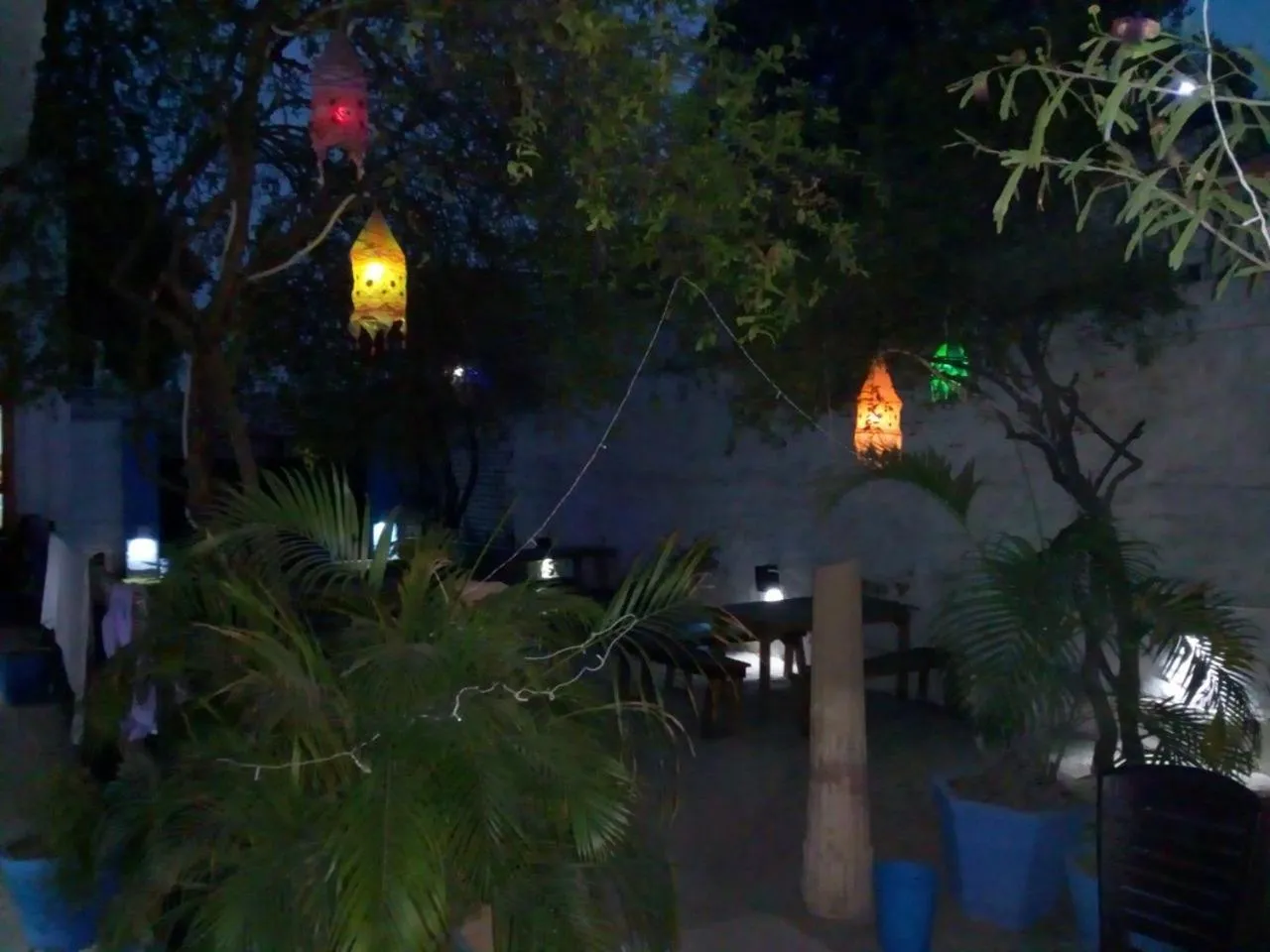 Garden in HosteLaVie - Varanasi