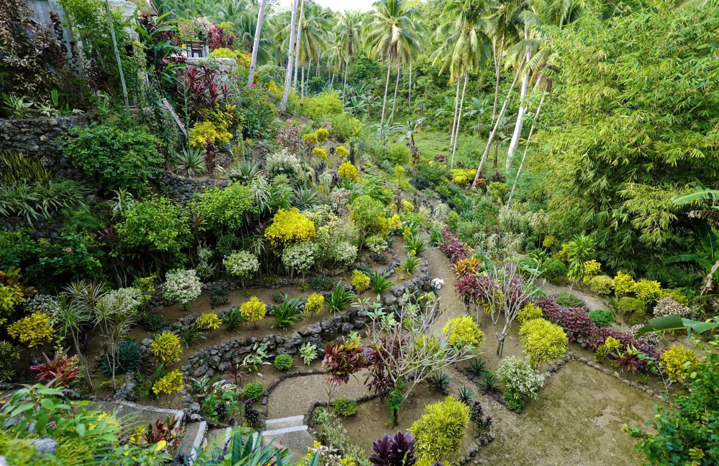 Garden in Guindulman Bay Tourist Inn