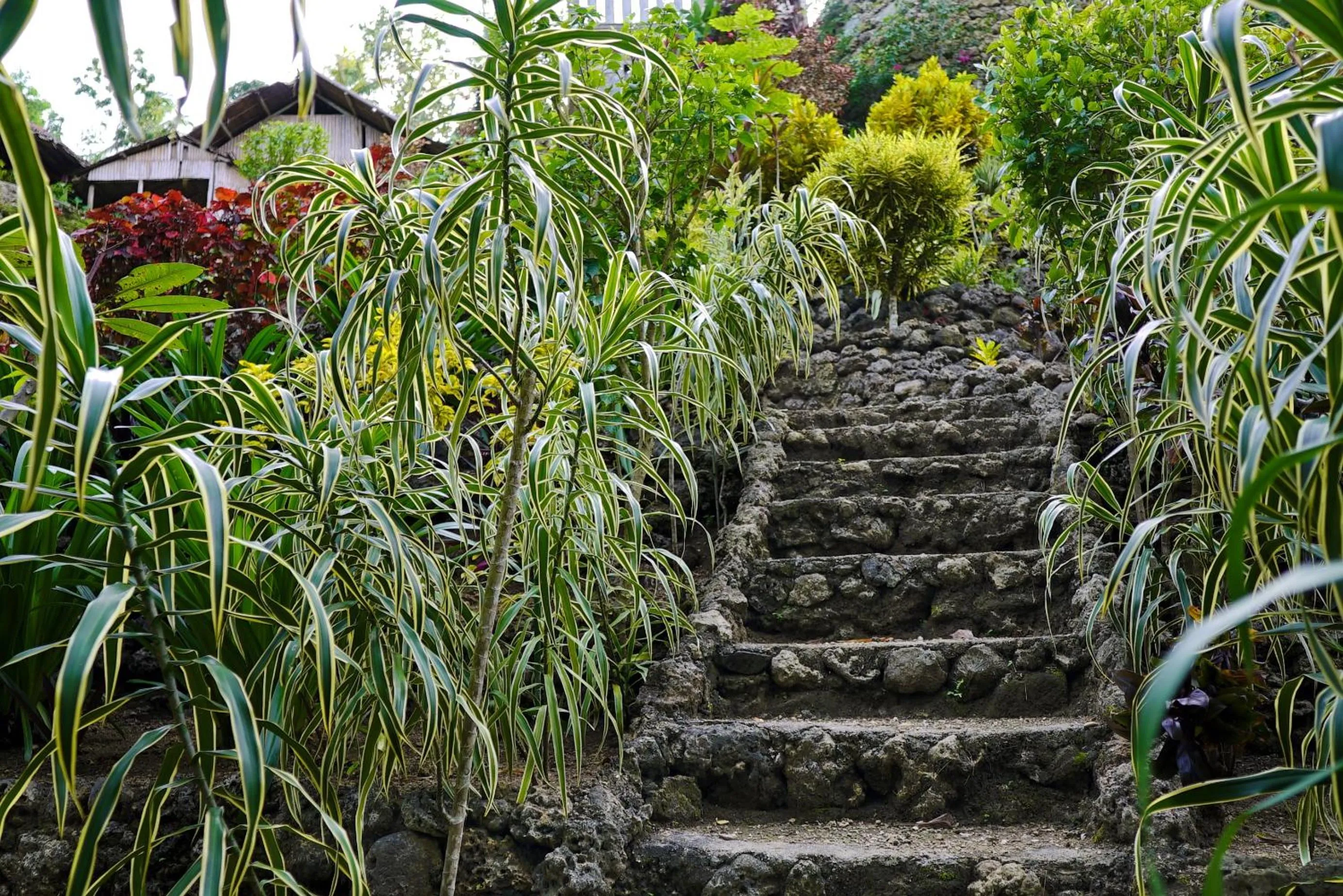Garden in Guindulman Bay Tourist Inn