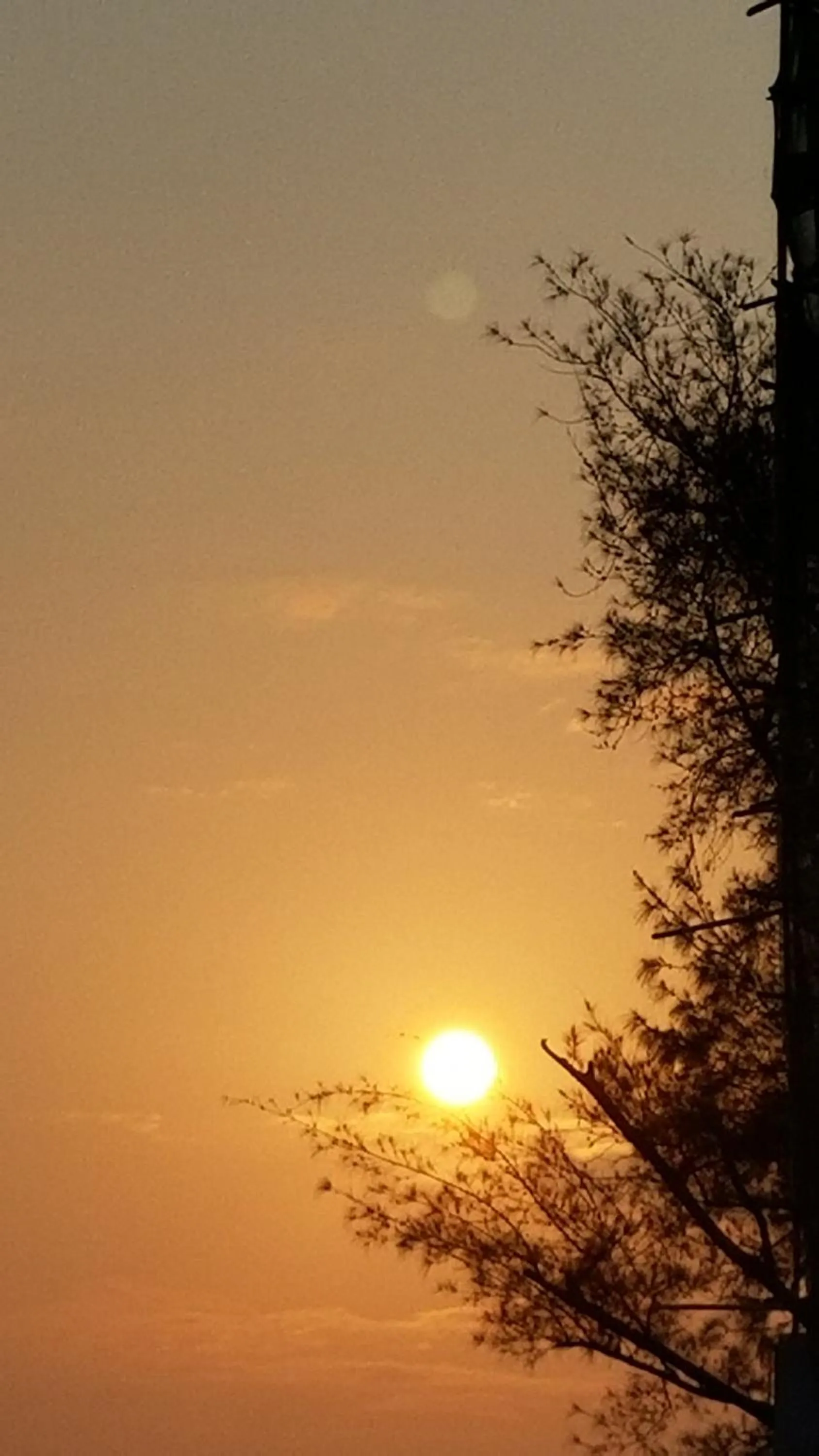 Natural landscape in Man Lai Wah Resort