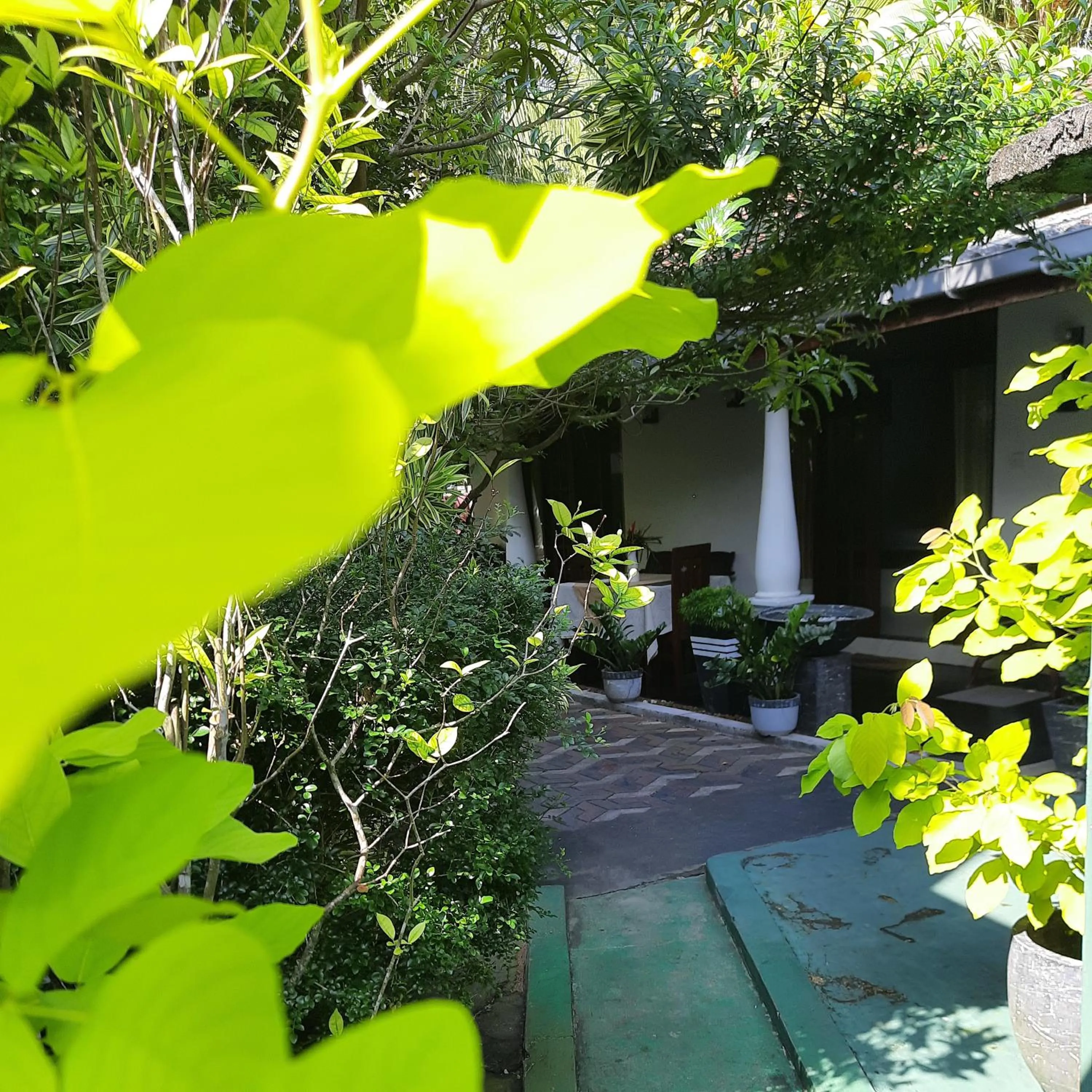 Garden view in Susee Villa