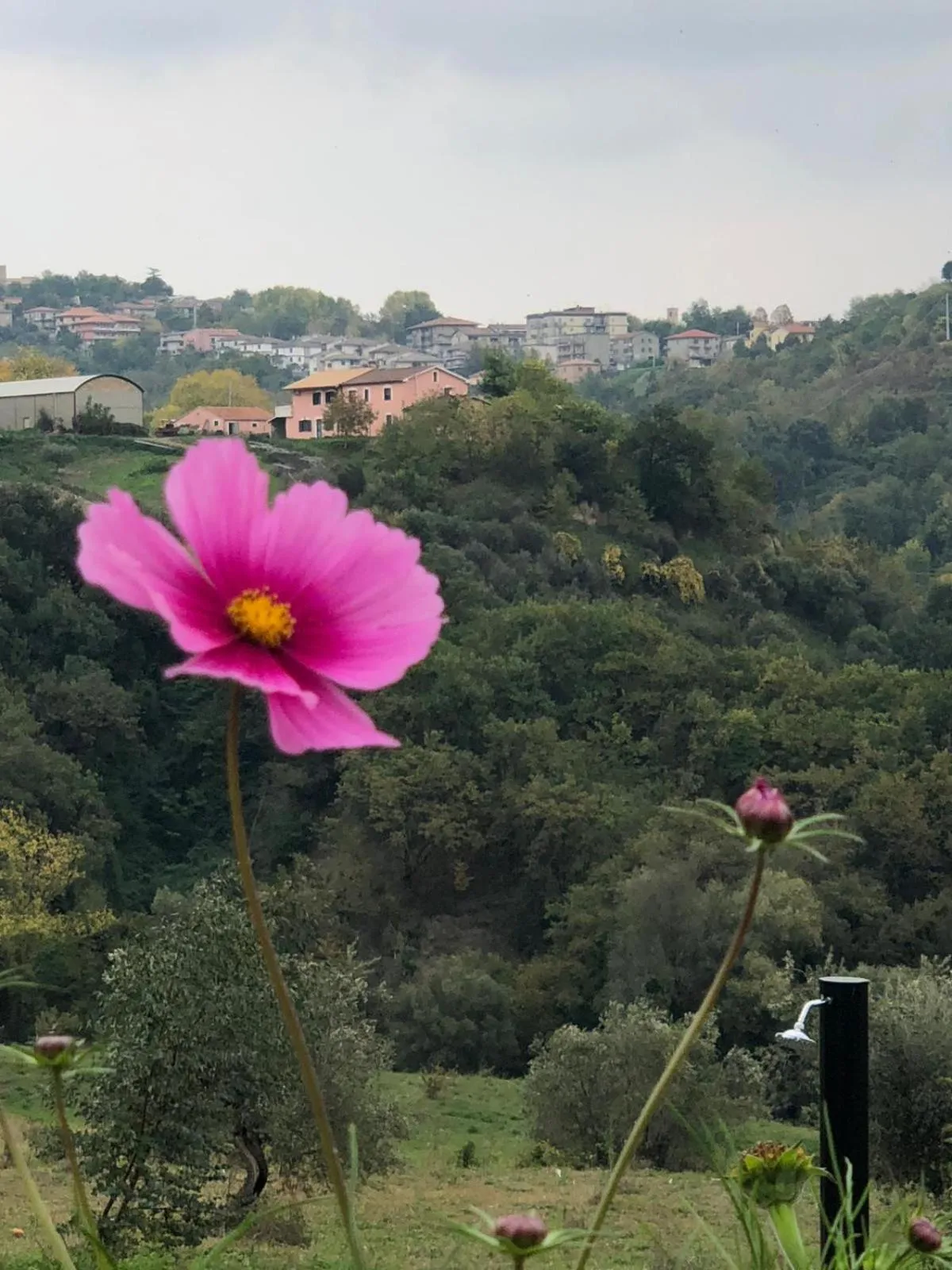 Boutique B&B Dolce Far Niente