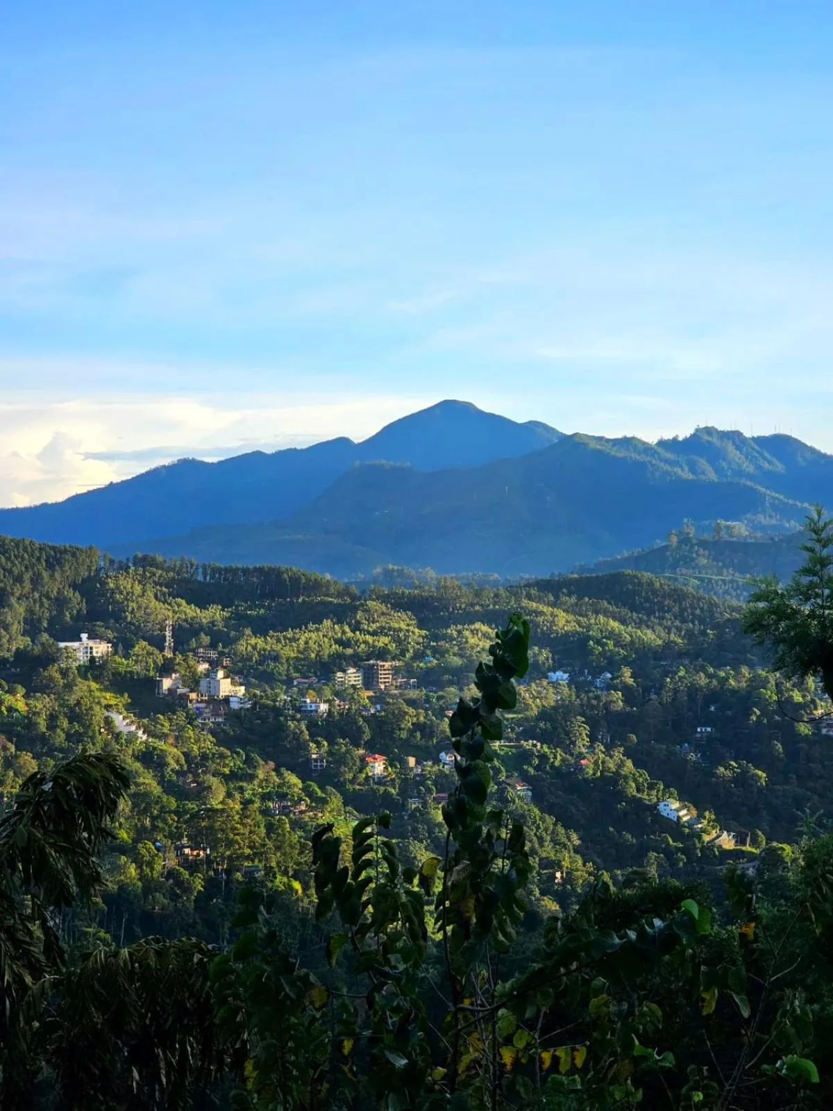 Day in Guest Inn Avendra