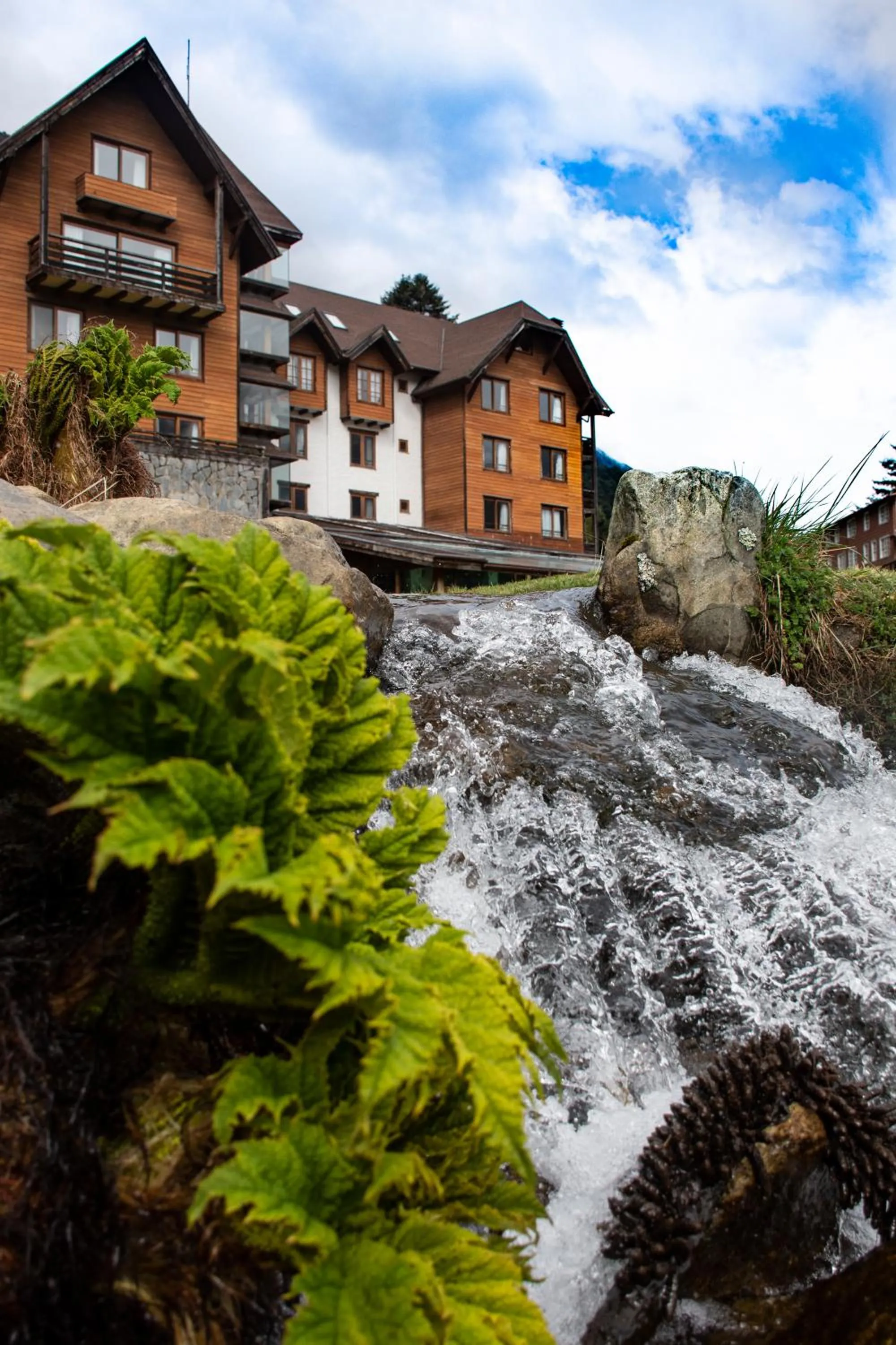 Garden in Hotel Natura