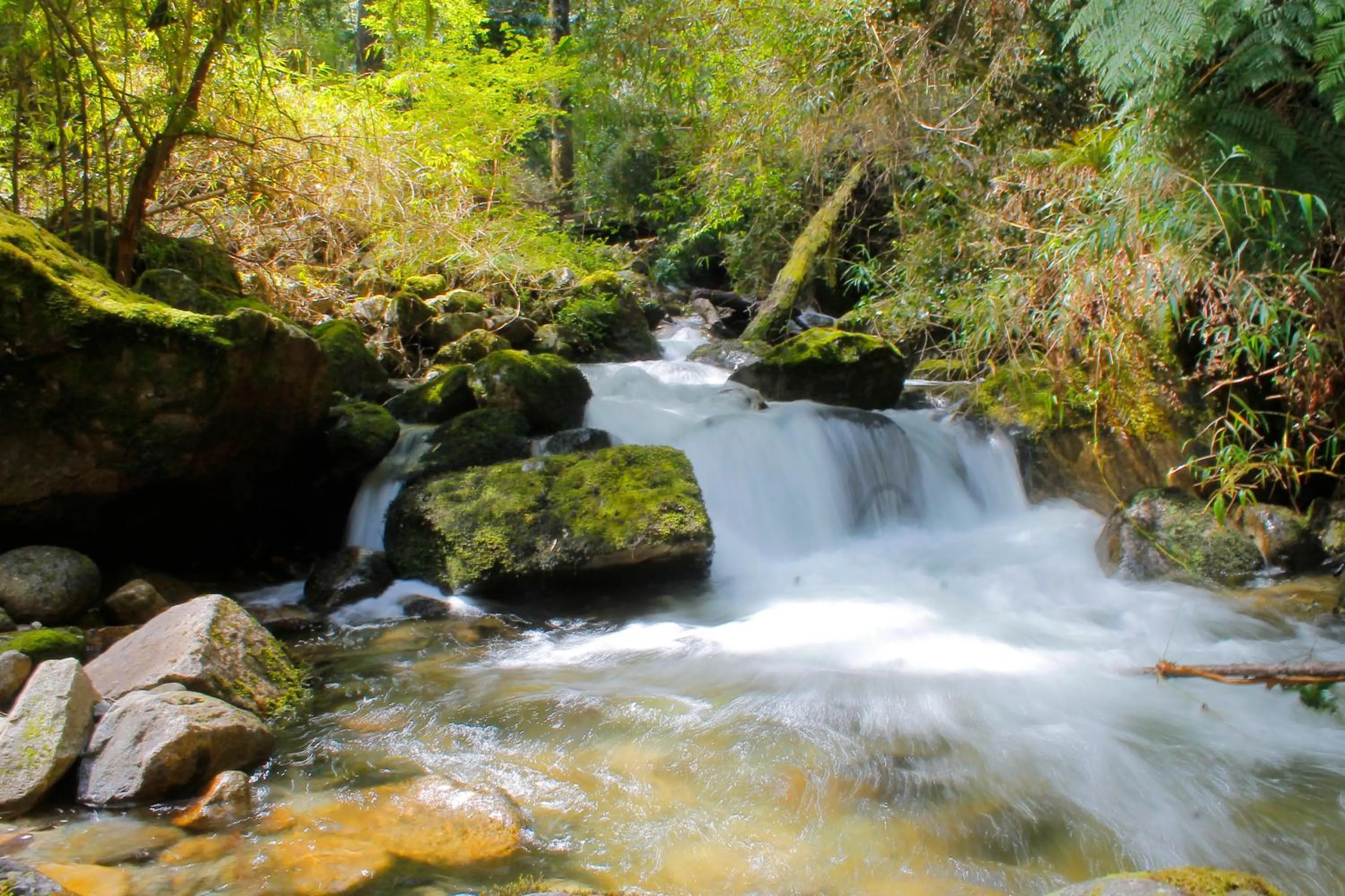Natural landscape in Hotel Natura