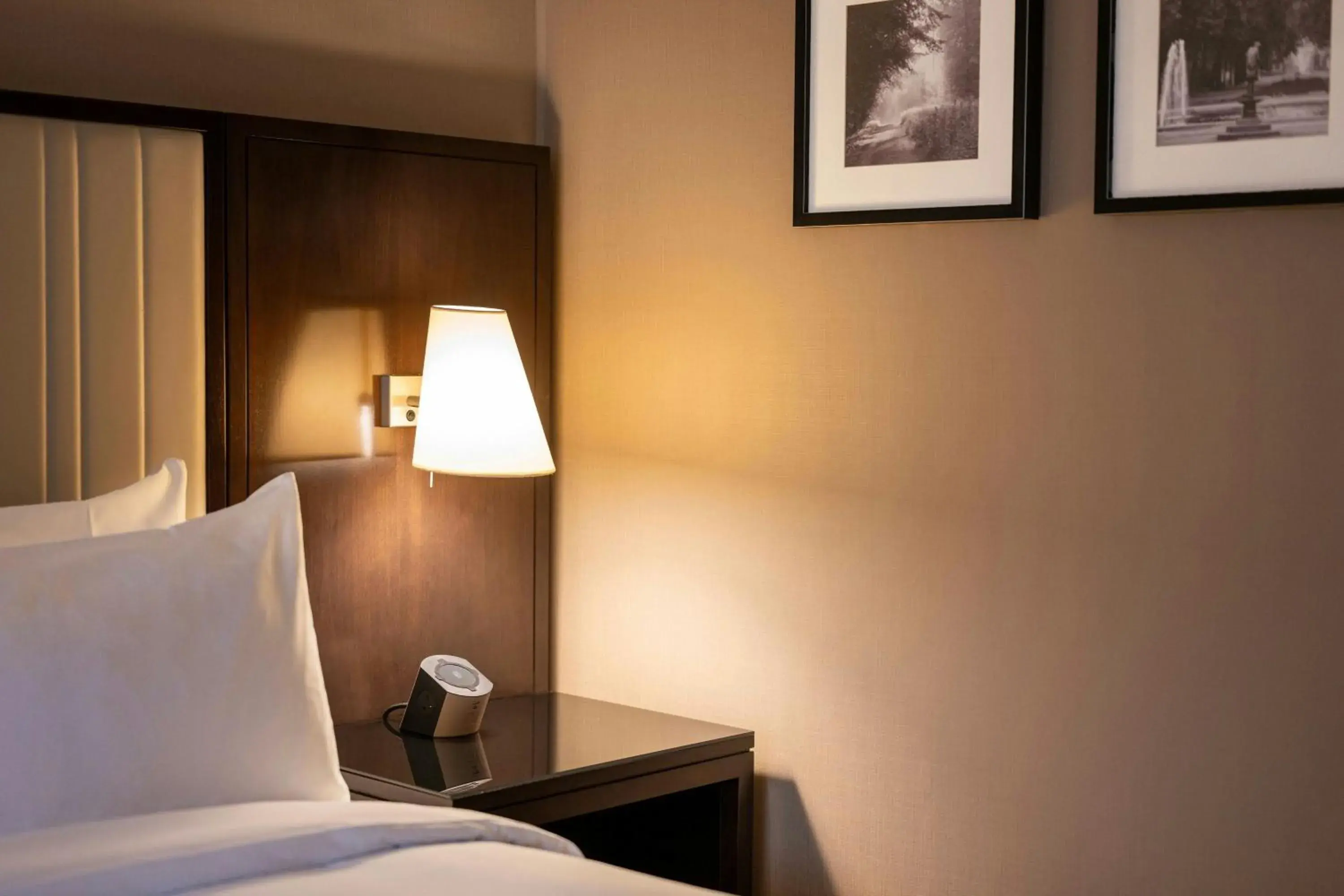 Deluxe Room, Guest room, 1 Queen in Renaissance Brussels Hotel Deluxe Room, Guest room, 1 Queen in Renaissance Brussels Hotel