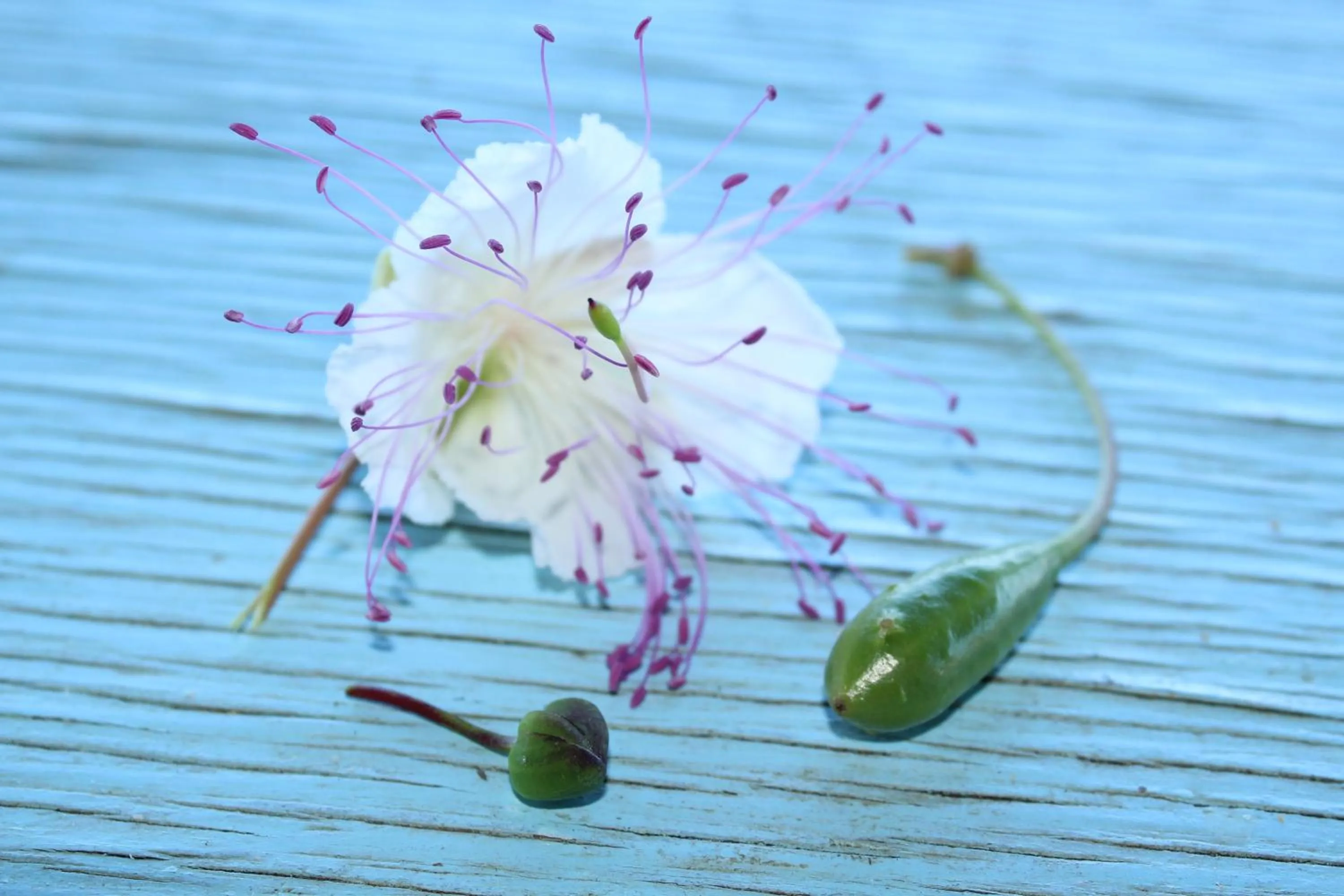 Food close-up in al numero zero