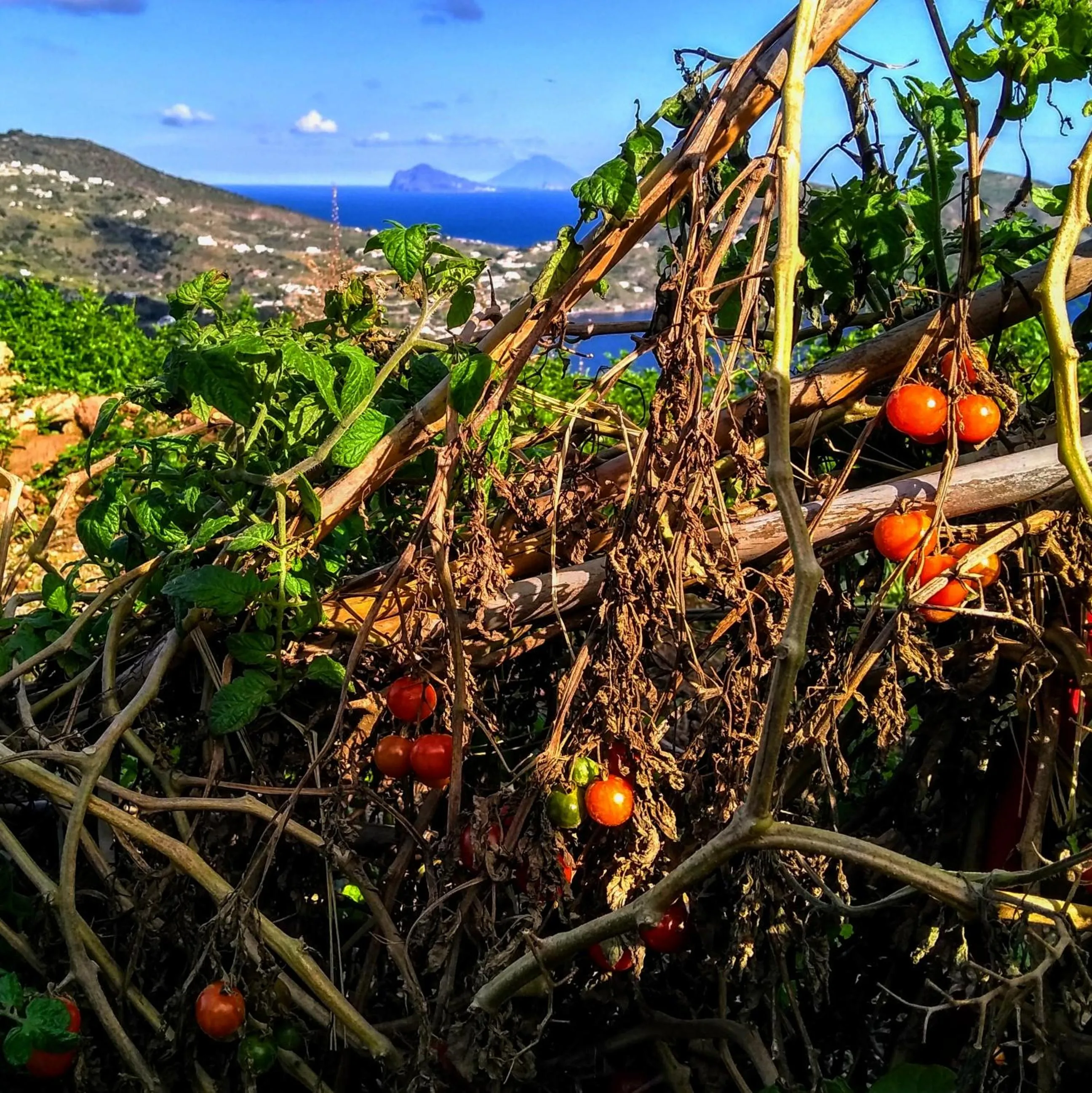 Garden in al numero zero