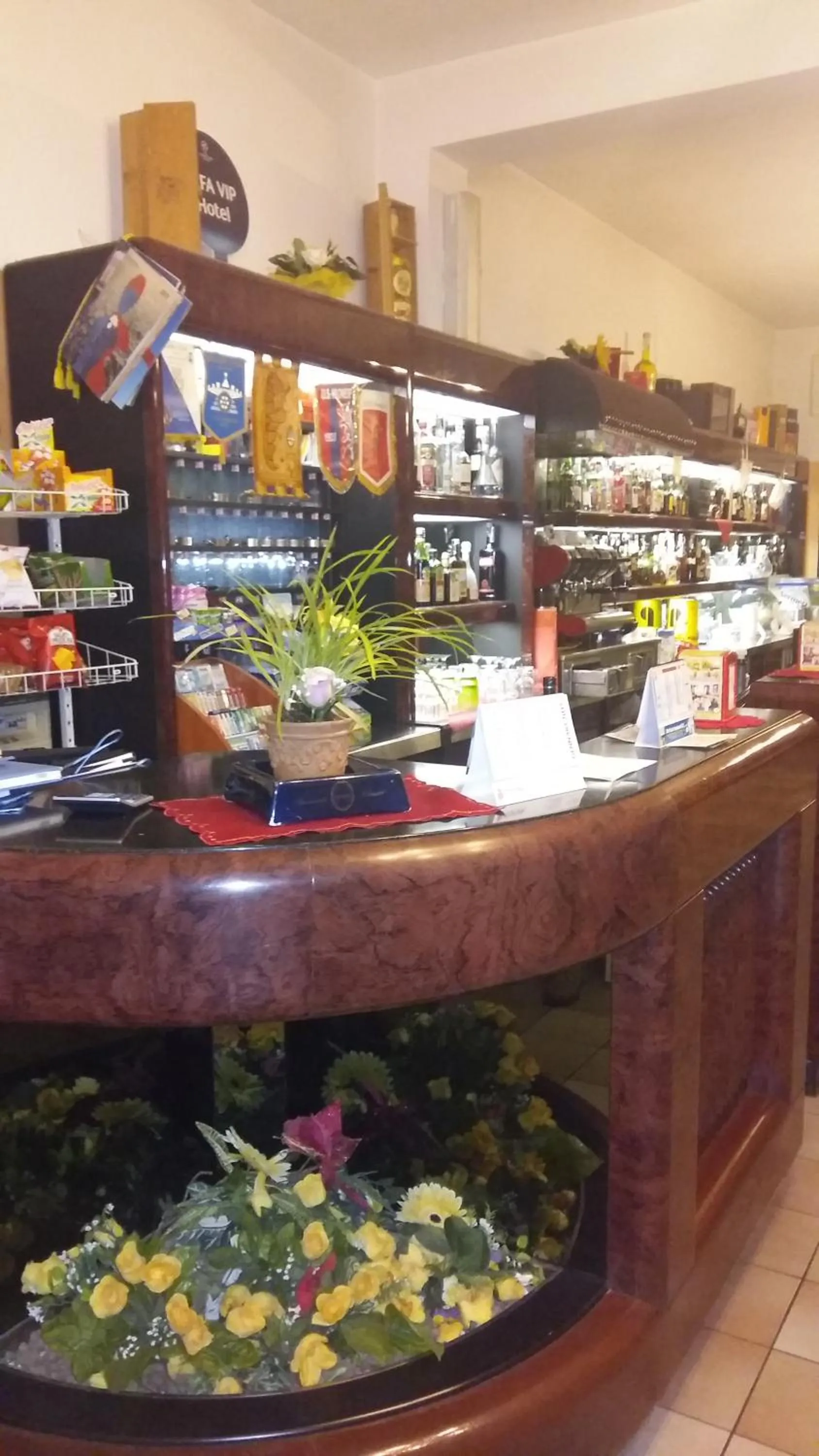 Lounge or bar in Hotel Grandinetti