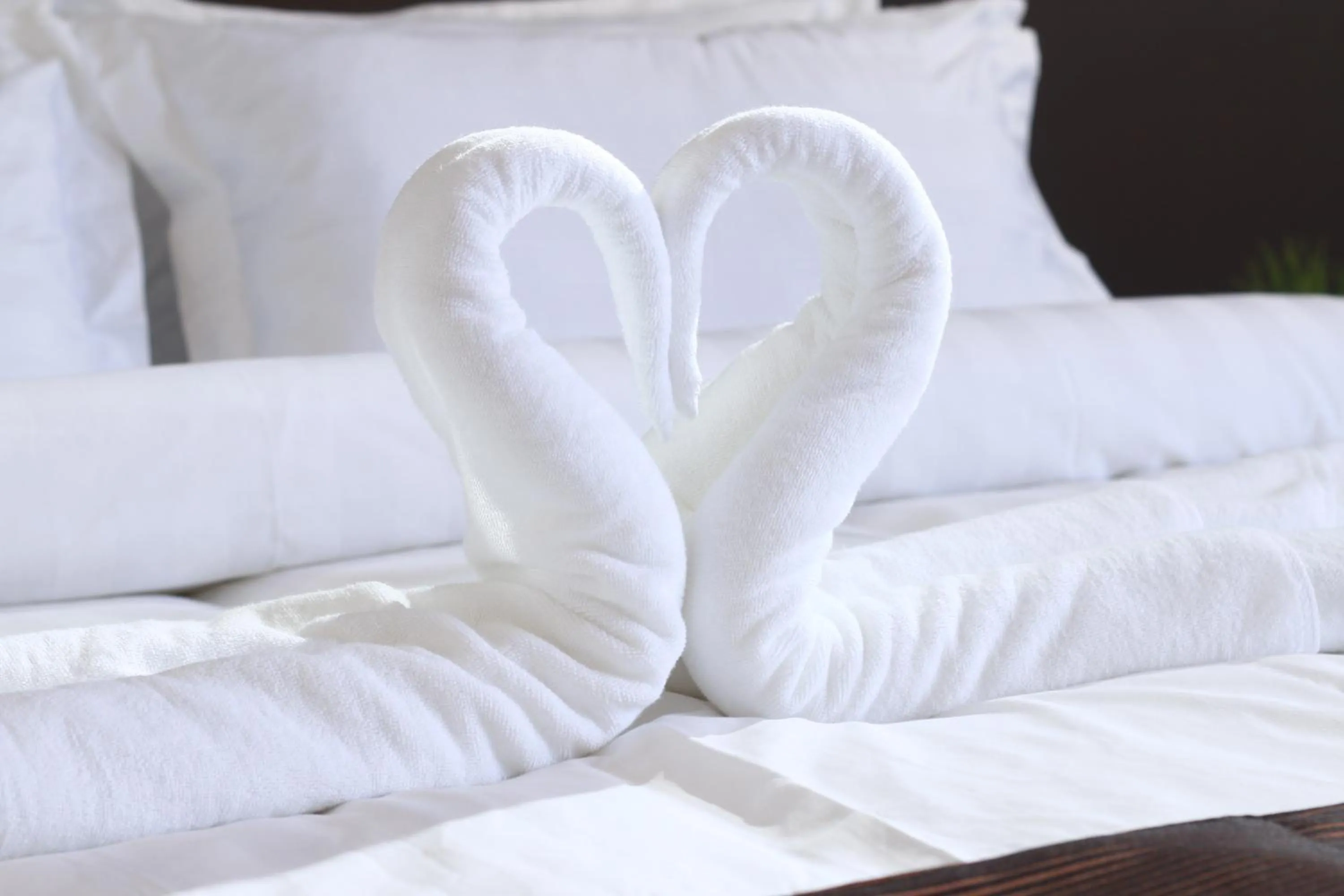 Decorative detail, Bed in The Barat Tioman Beach Resort