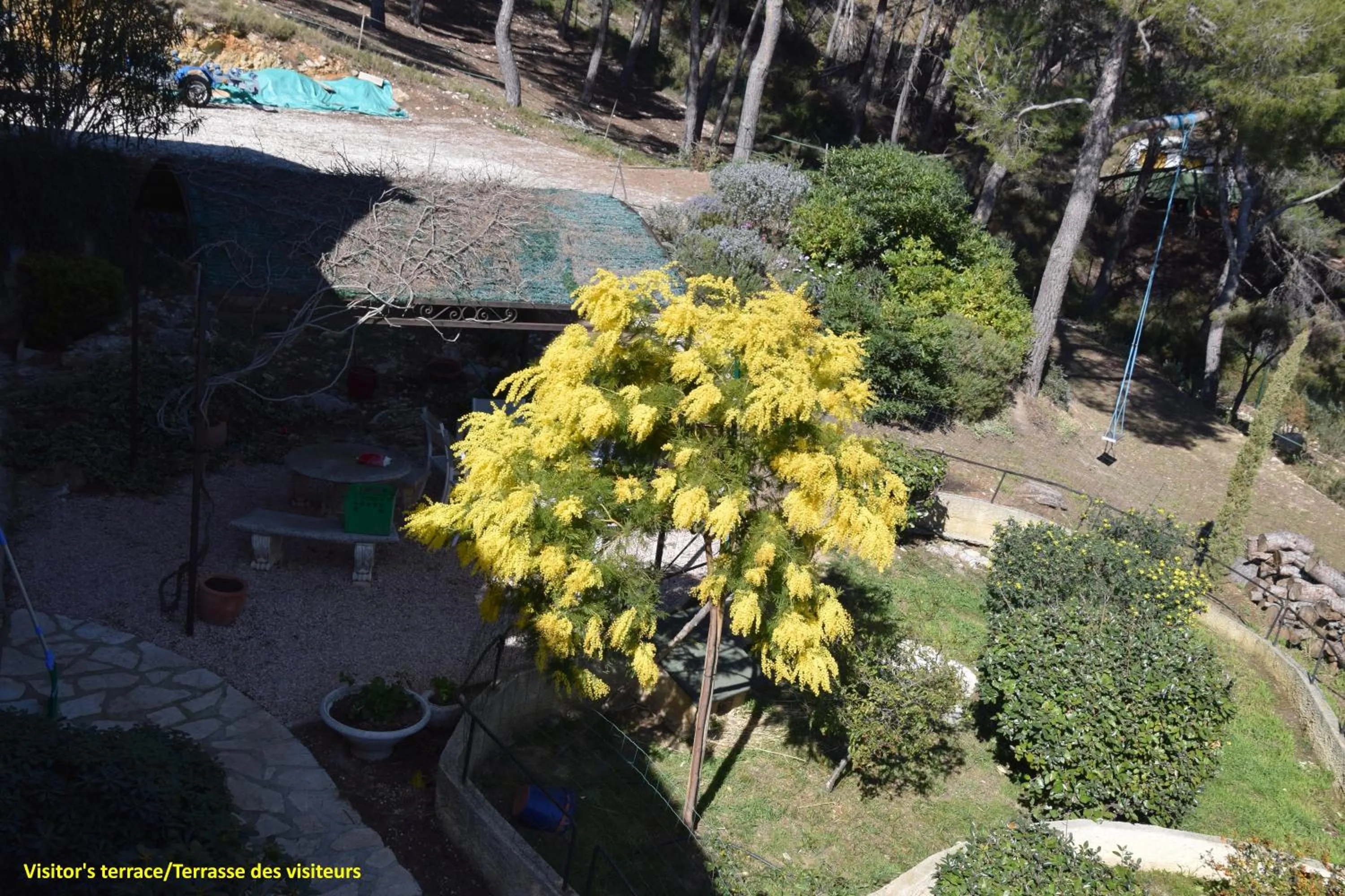 Property building in Villa Violette