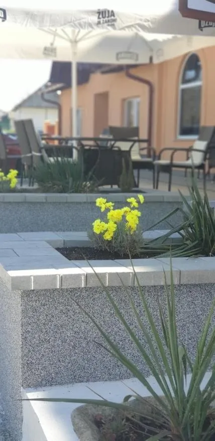 Balcony/Terrace in Hotel Mirni Kutak