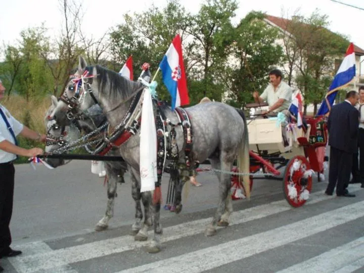 Area and facilities in Hotel Mirni Kutak