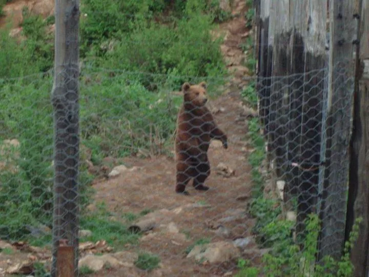 Area and facilities in Hotel Mirni Kutak