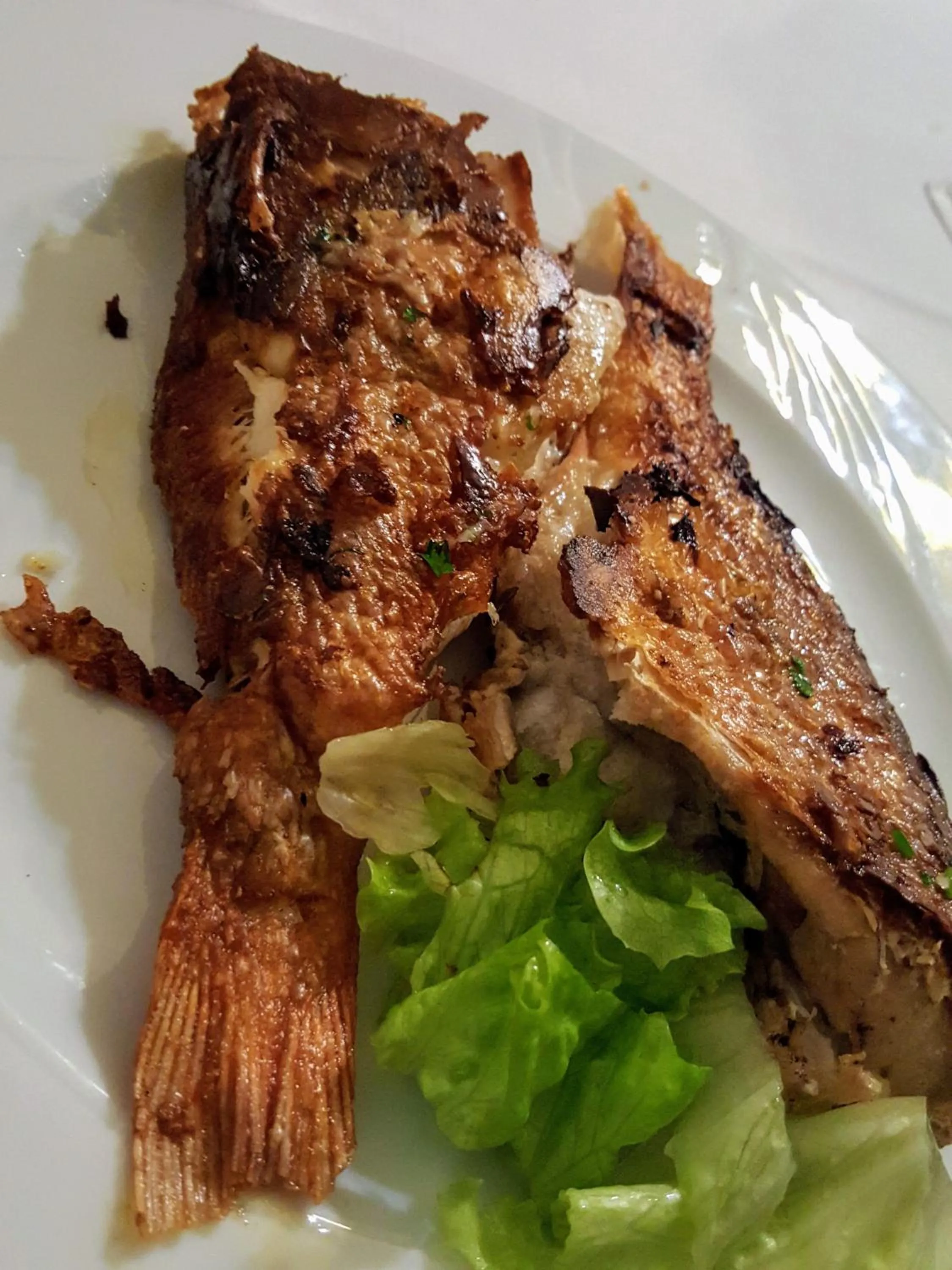 Food in Hotel Mirni Kutak