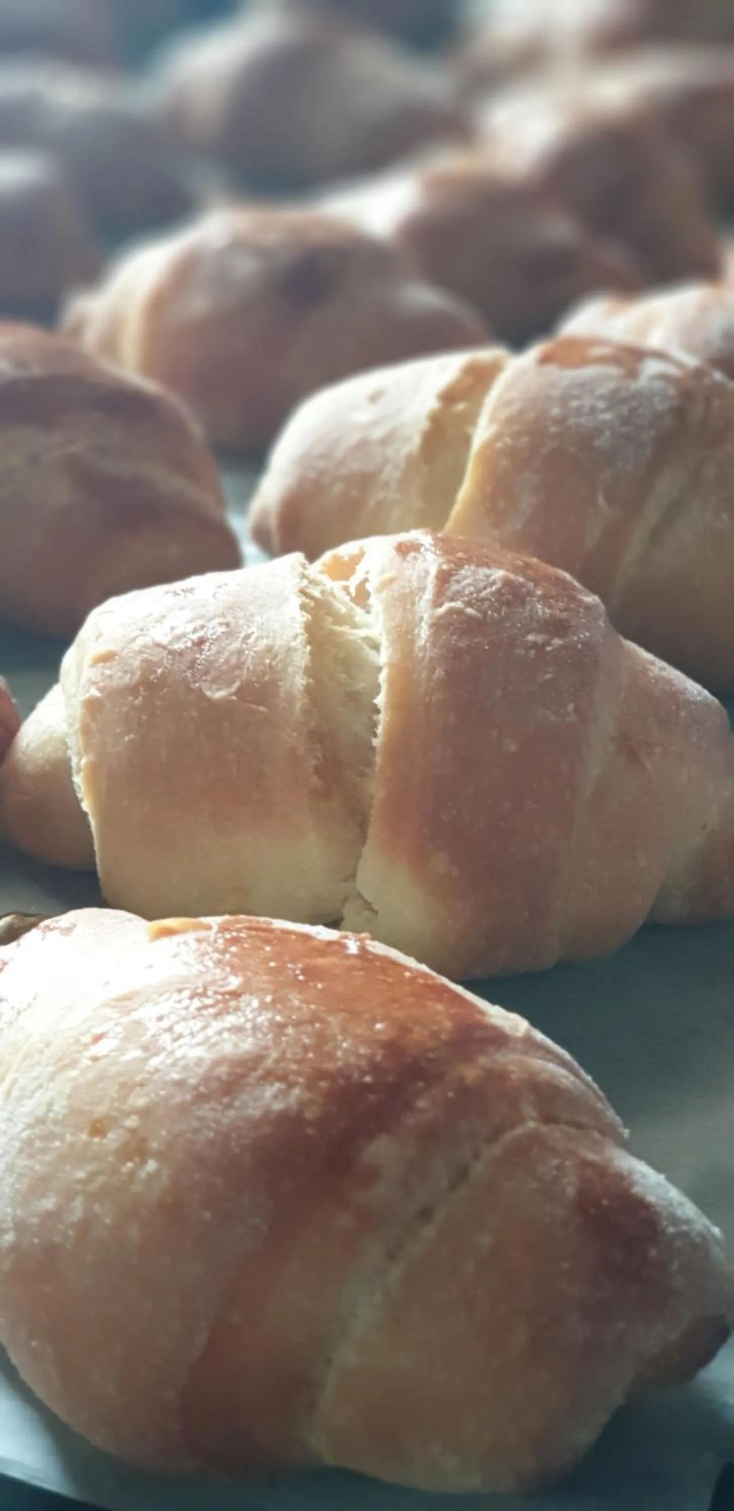 Food in Hotel Mirni Kutak