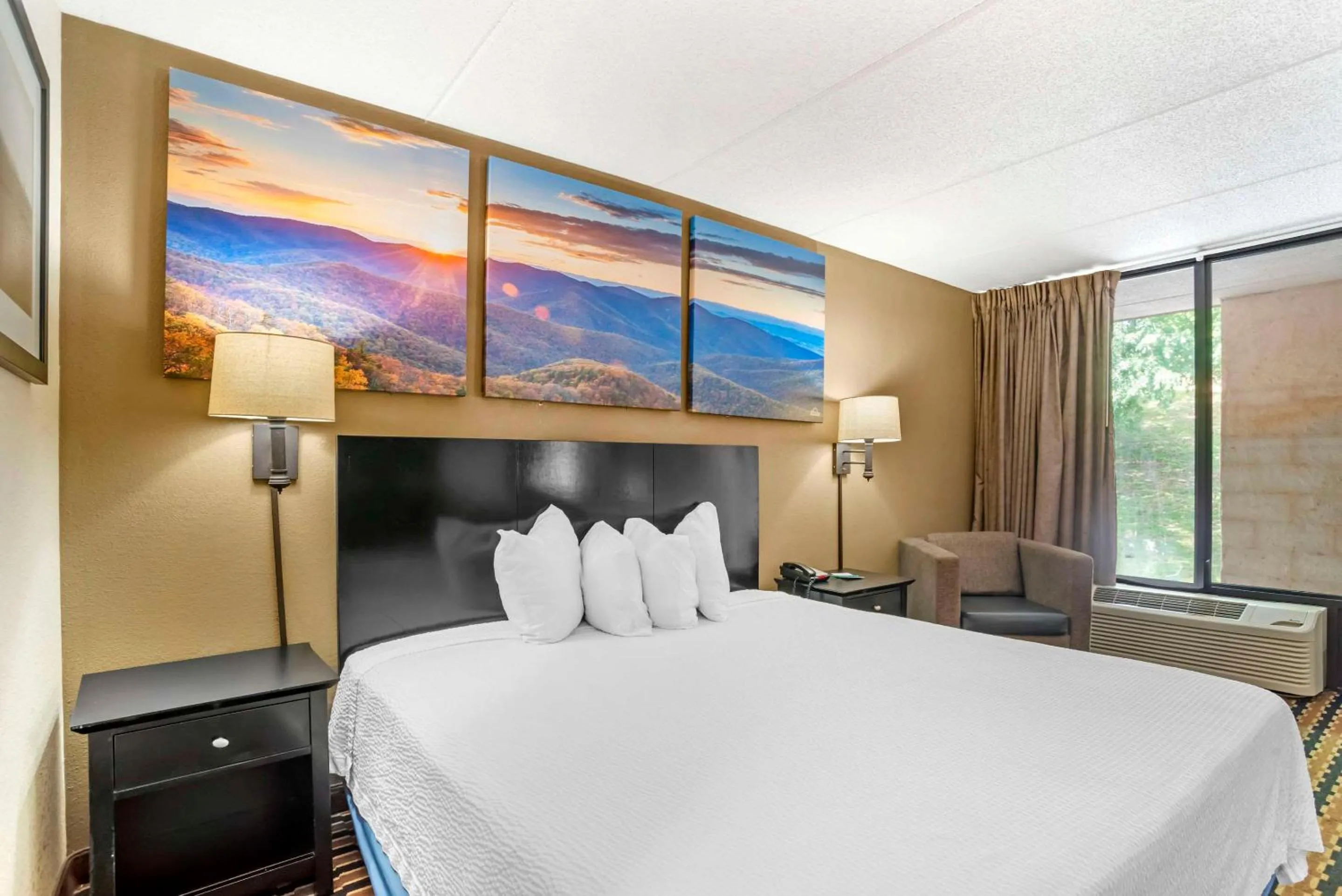 Bedroom, Bed in Quality Inn near Speedway