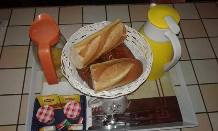 Le chant des oiseaux