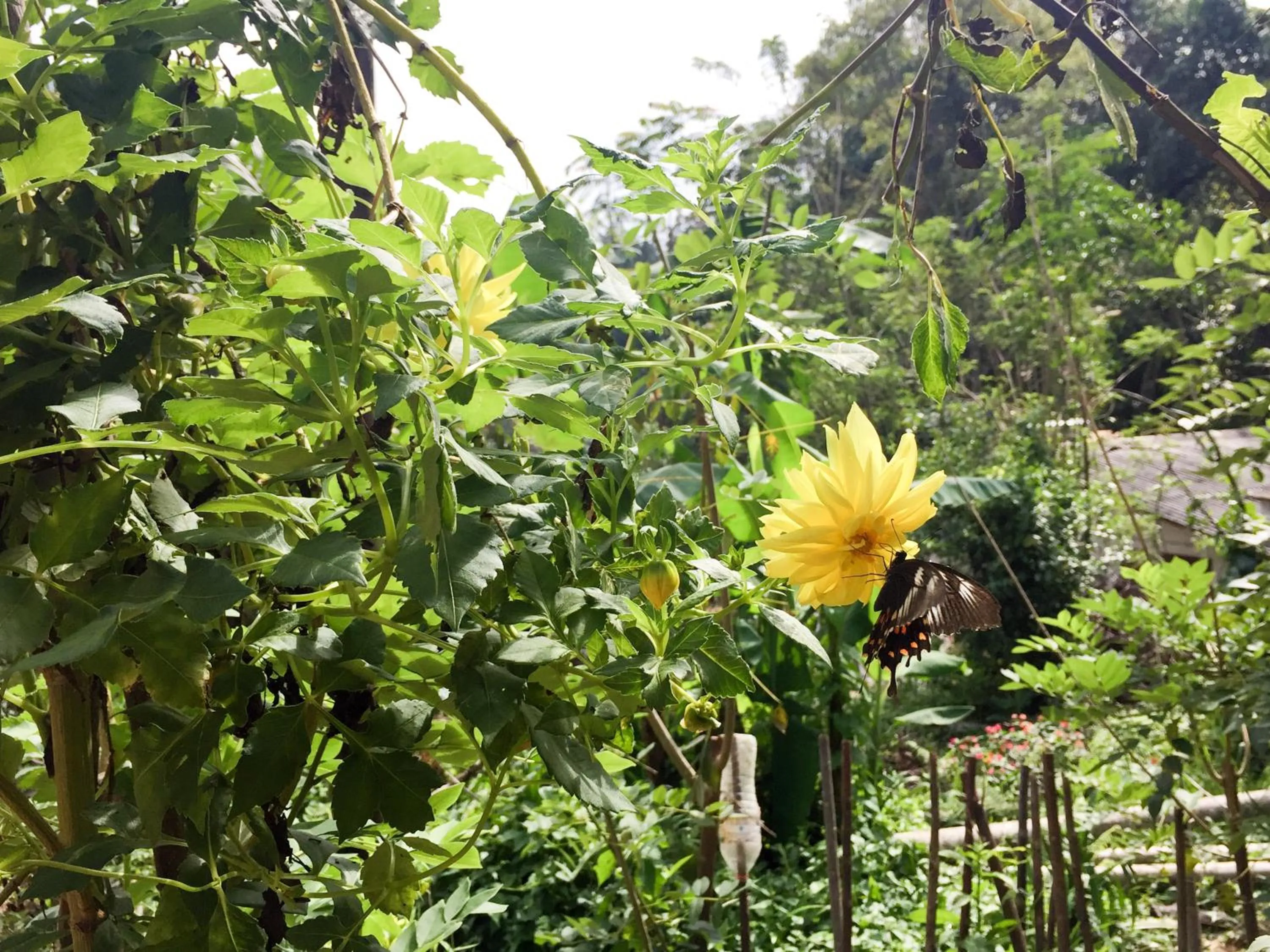 Natural landscape in Dinaro Guest