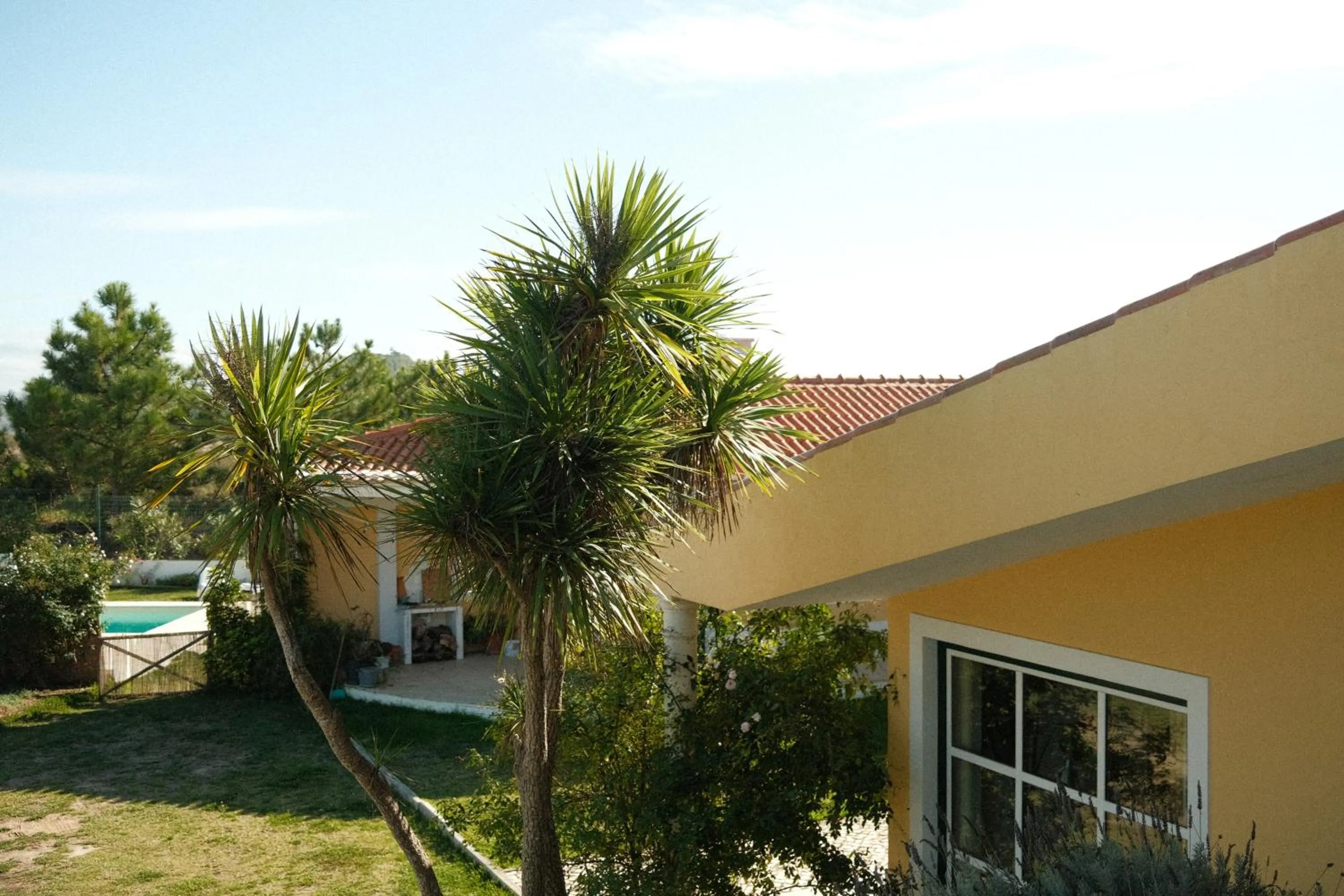 Day in Quinta Amarela - B&B