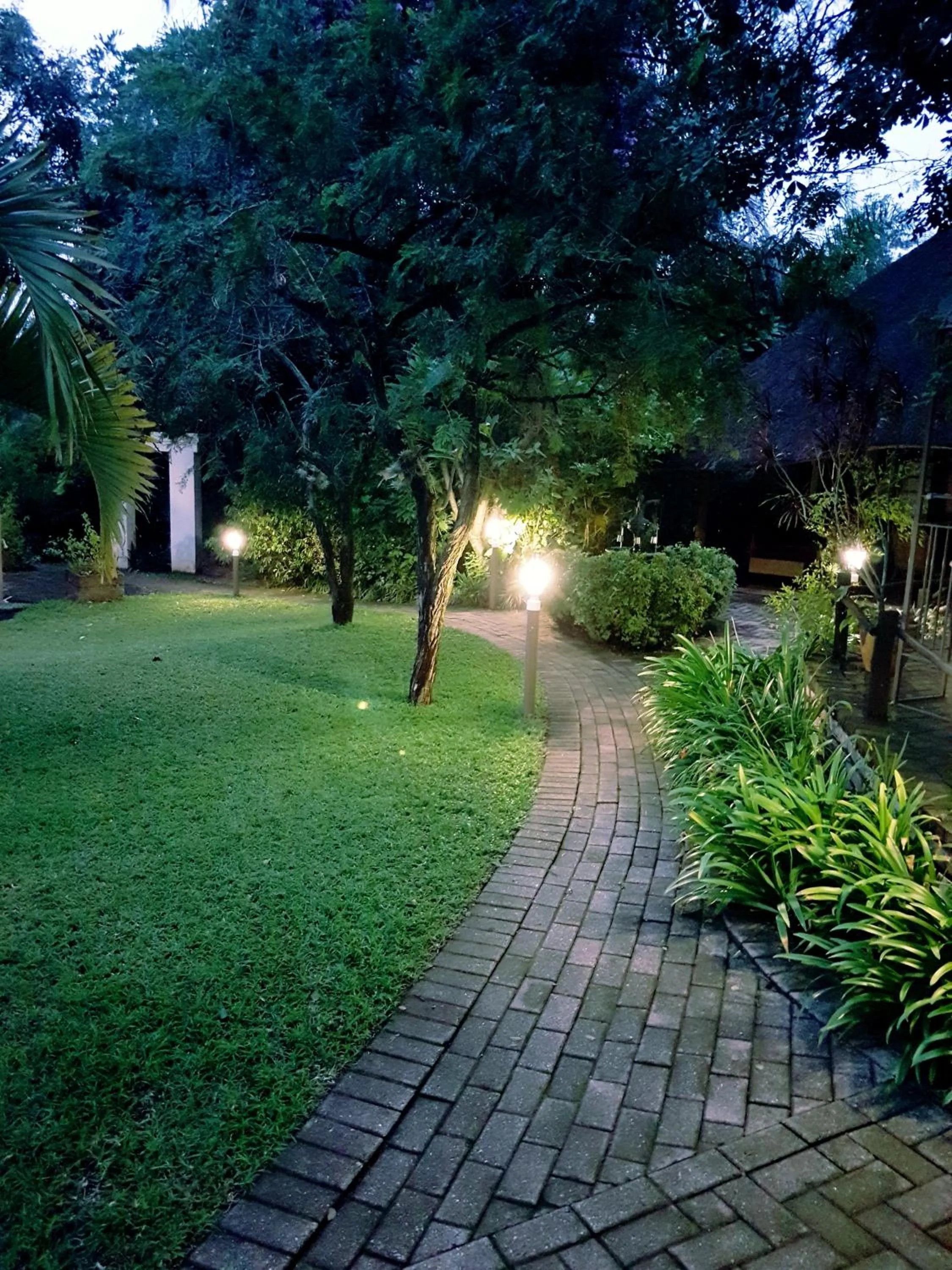 Garden in Shingalana Guest Lodge