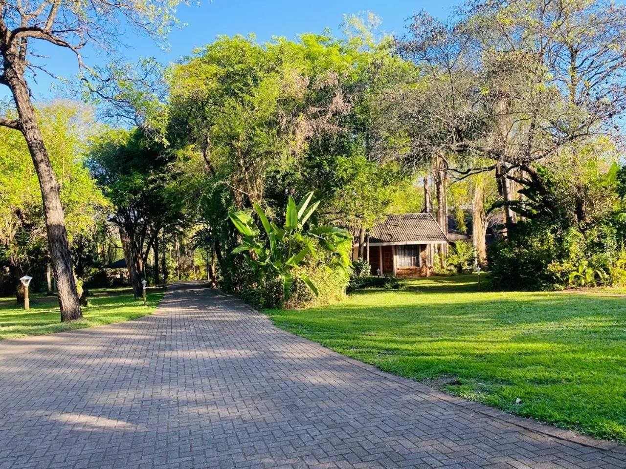 Garden in Shingalana Guest Lodge