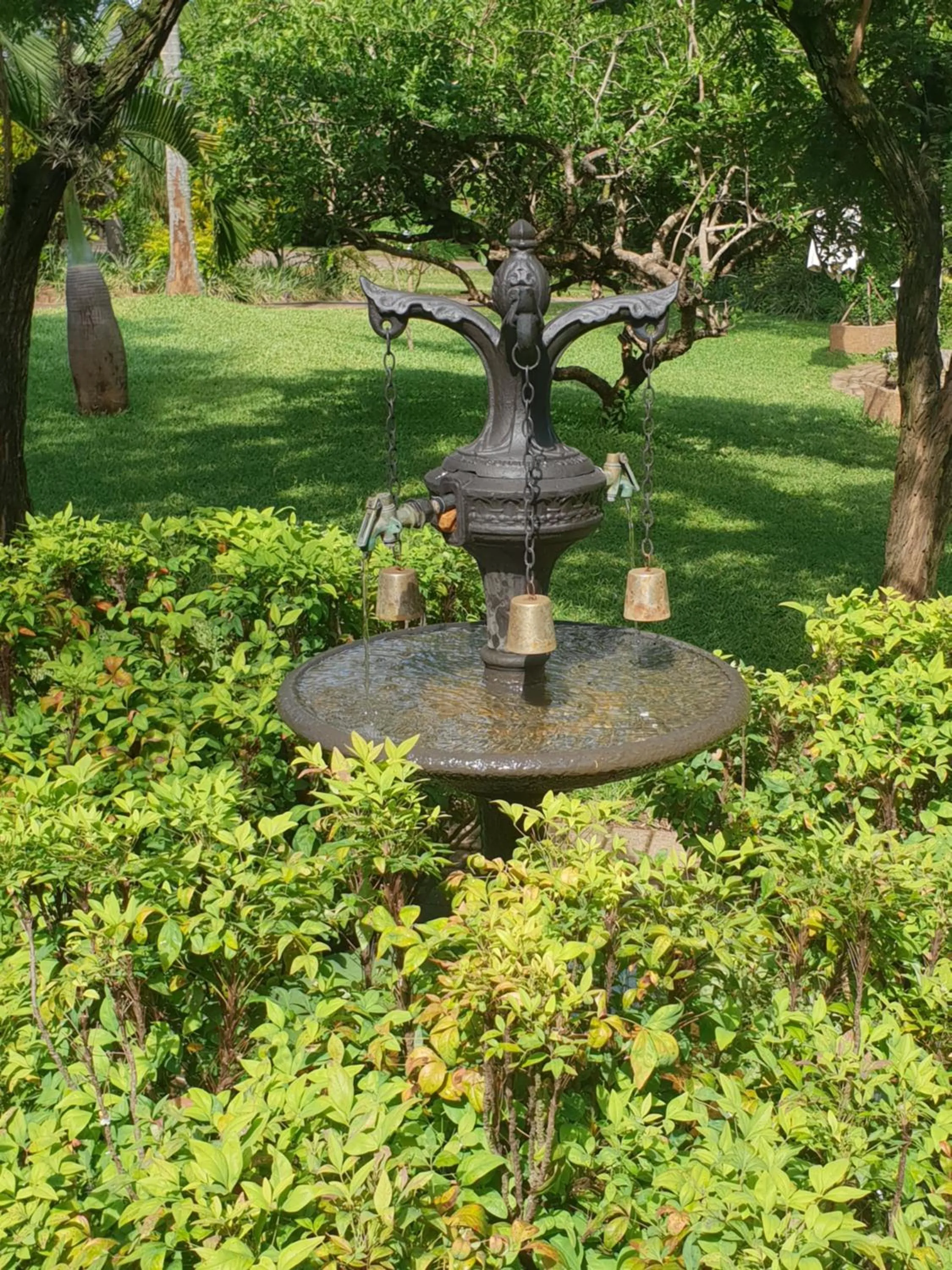 Garden in Shingalana Guest Lodge