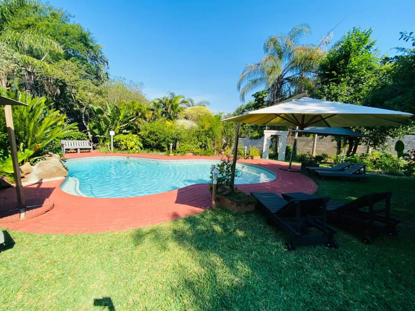 Swimming pool in Shingalana Guest Lodge