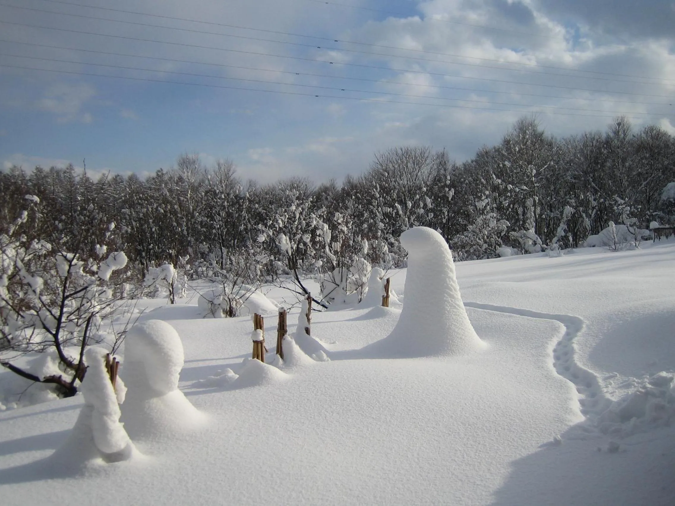 Natural landscape in Lodge Amenouo