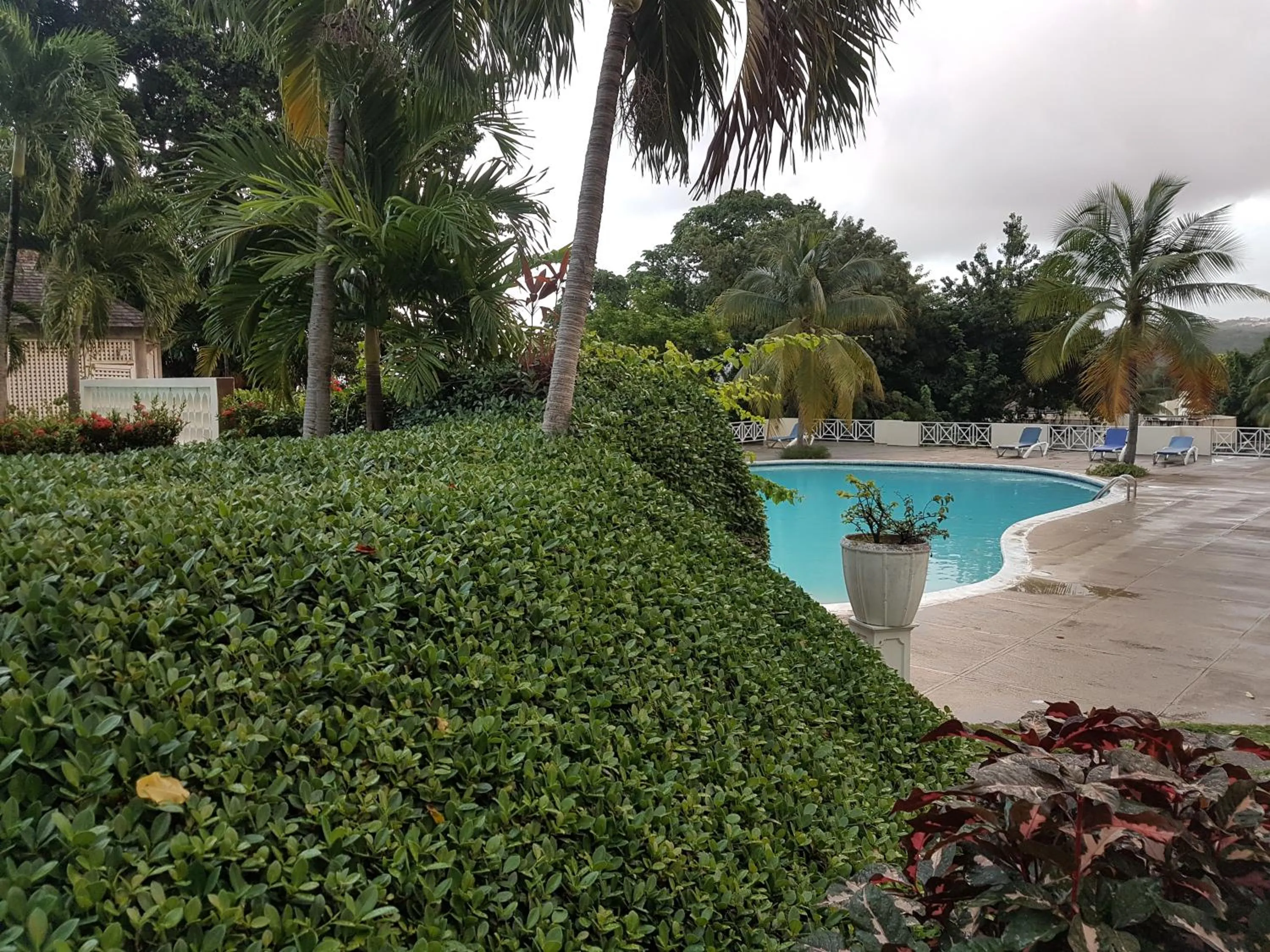 Swimming pool in Skycastle Oasis