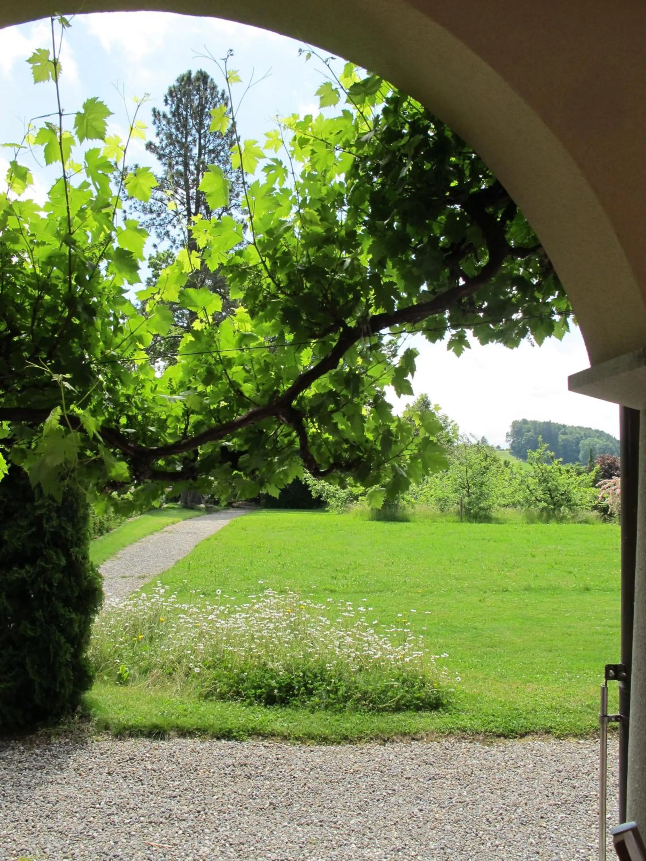Natural landscape in Burgbühl