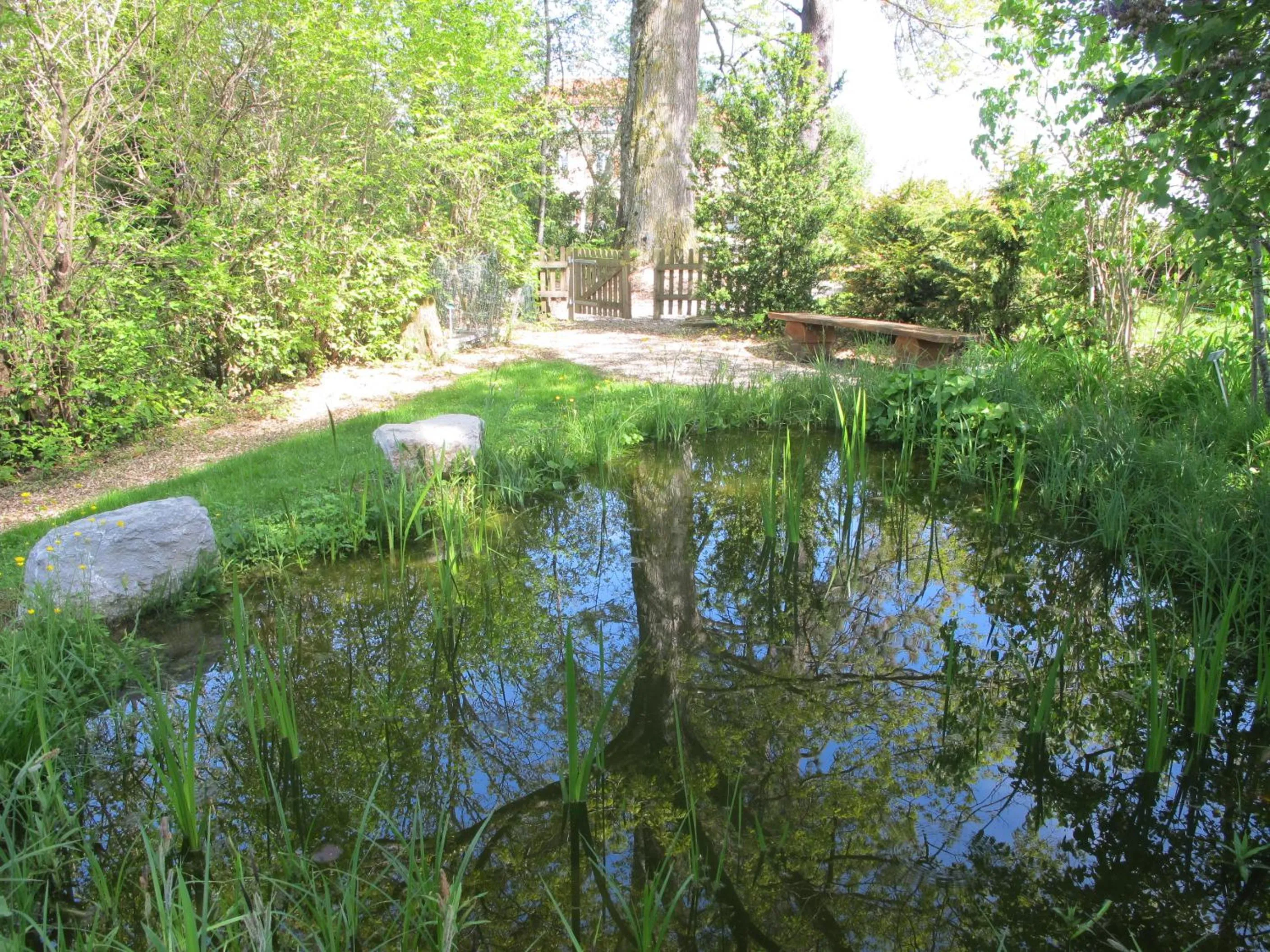 Natural landscape in Burgbühl
