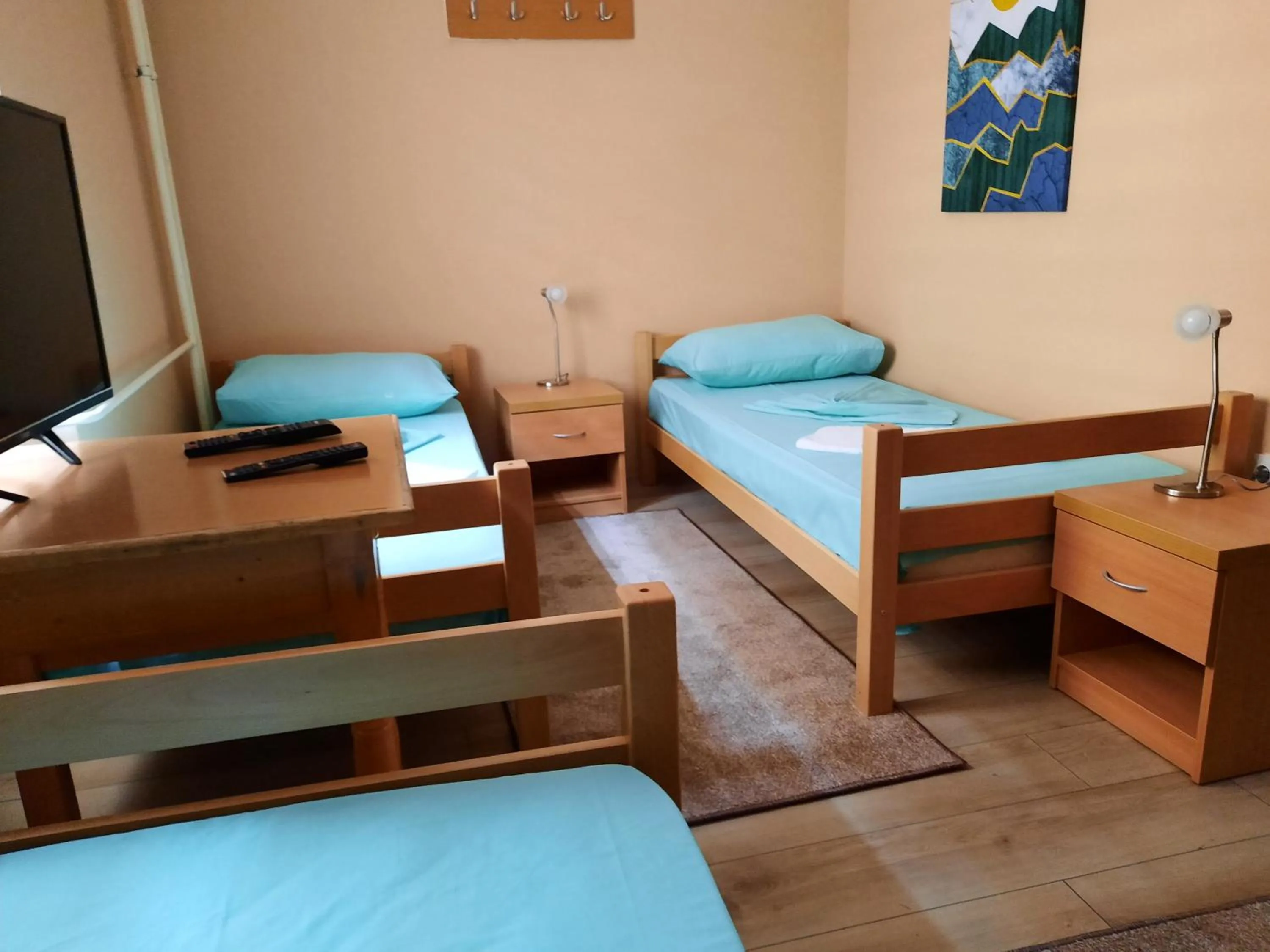Bed in Petar Drapšin Hostel