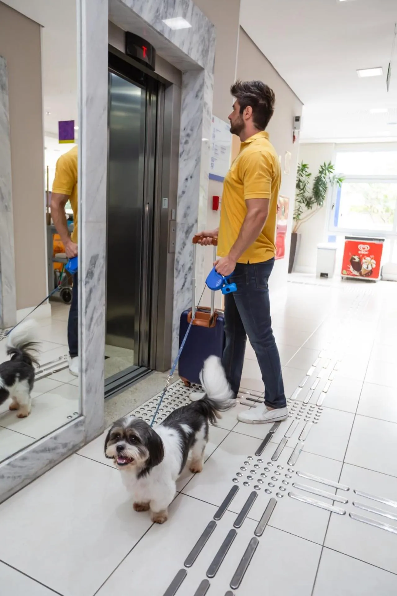 Go Inn Cambuí Campinas