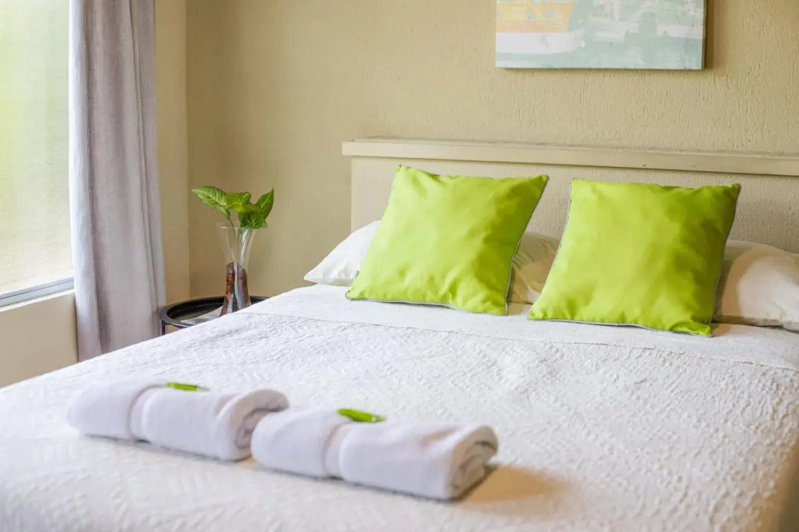 Standard Double Room in Hotel y Cabinas del Trópico Standard Double Room in Hotel y Cabinas del Trópico