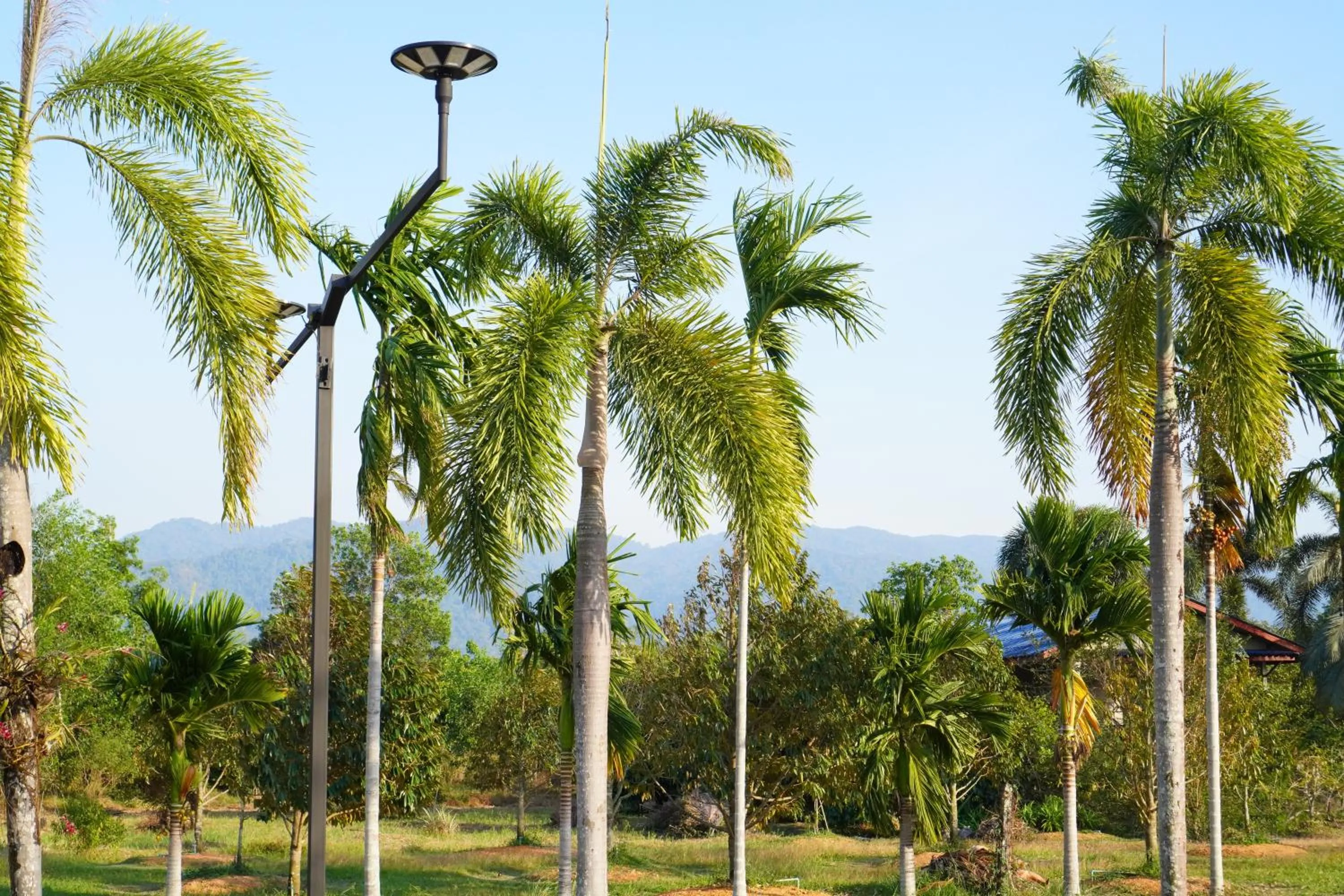 Natural landscape in Annowa Resort - Chanthaburi