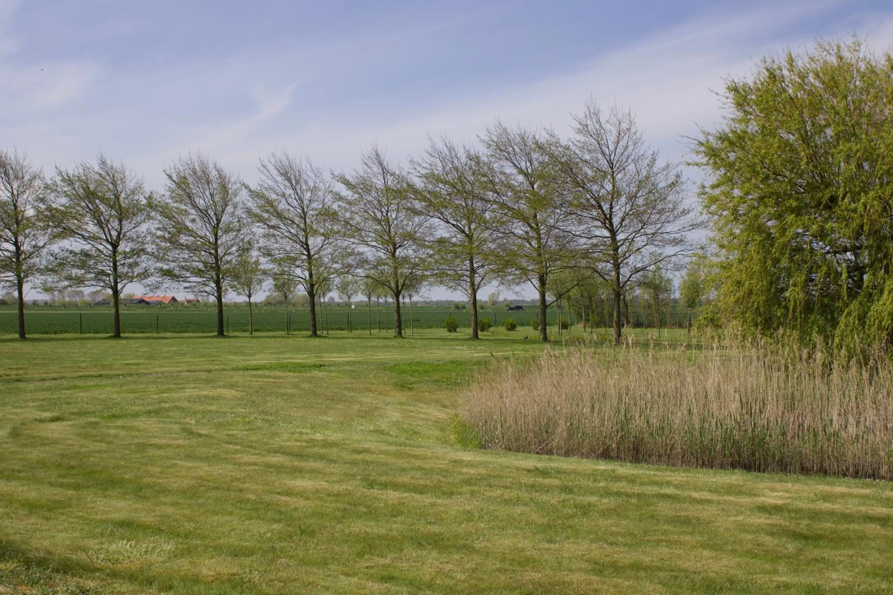 Garden in Hoeve Hofwijk