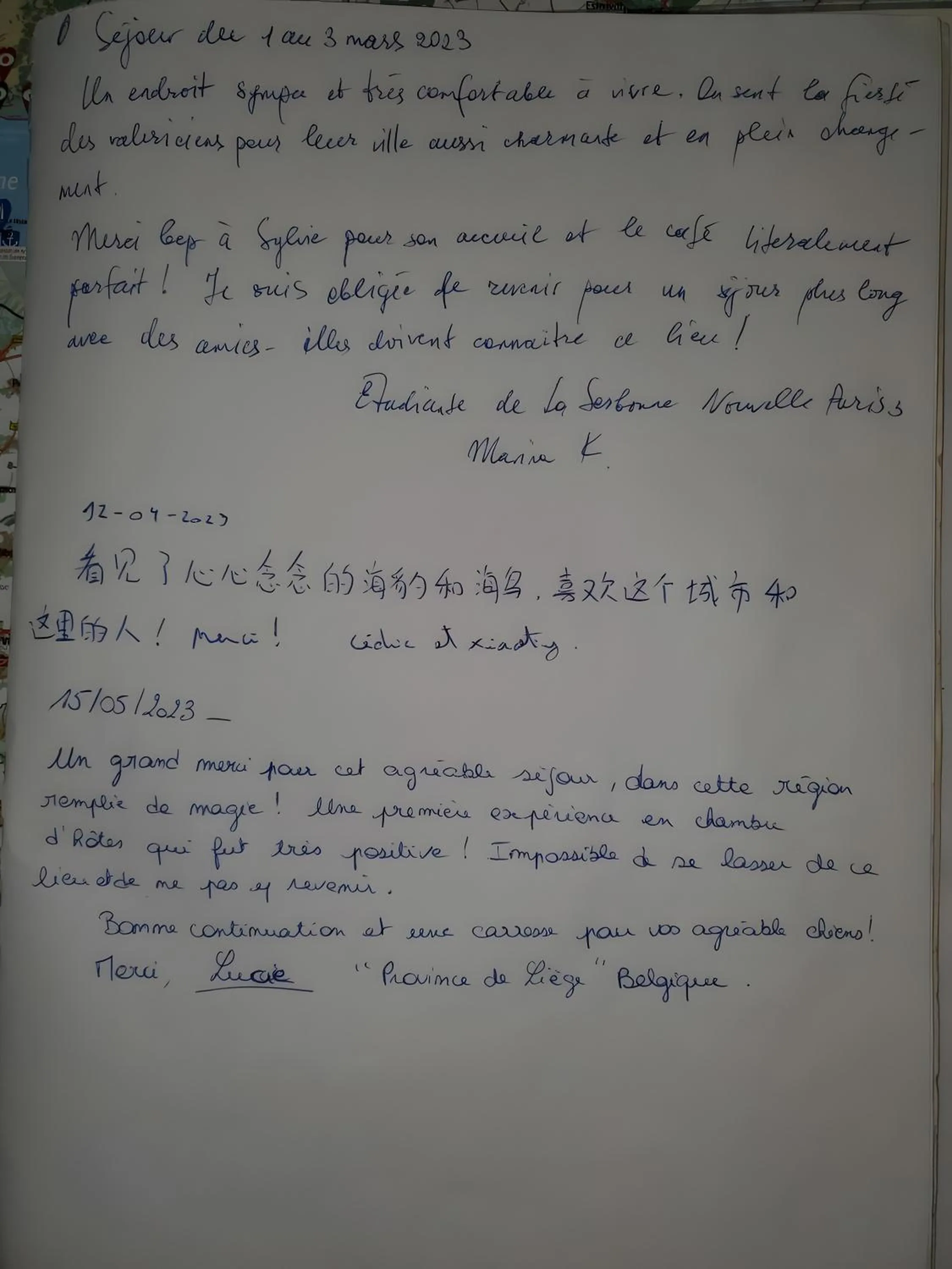 Chambre D'hôtes La Sirène - Chambre