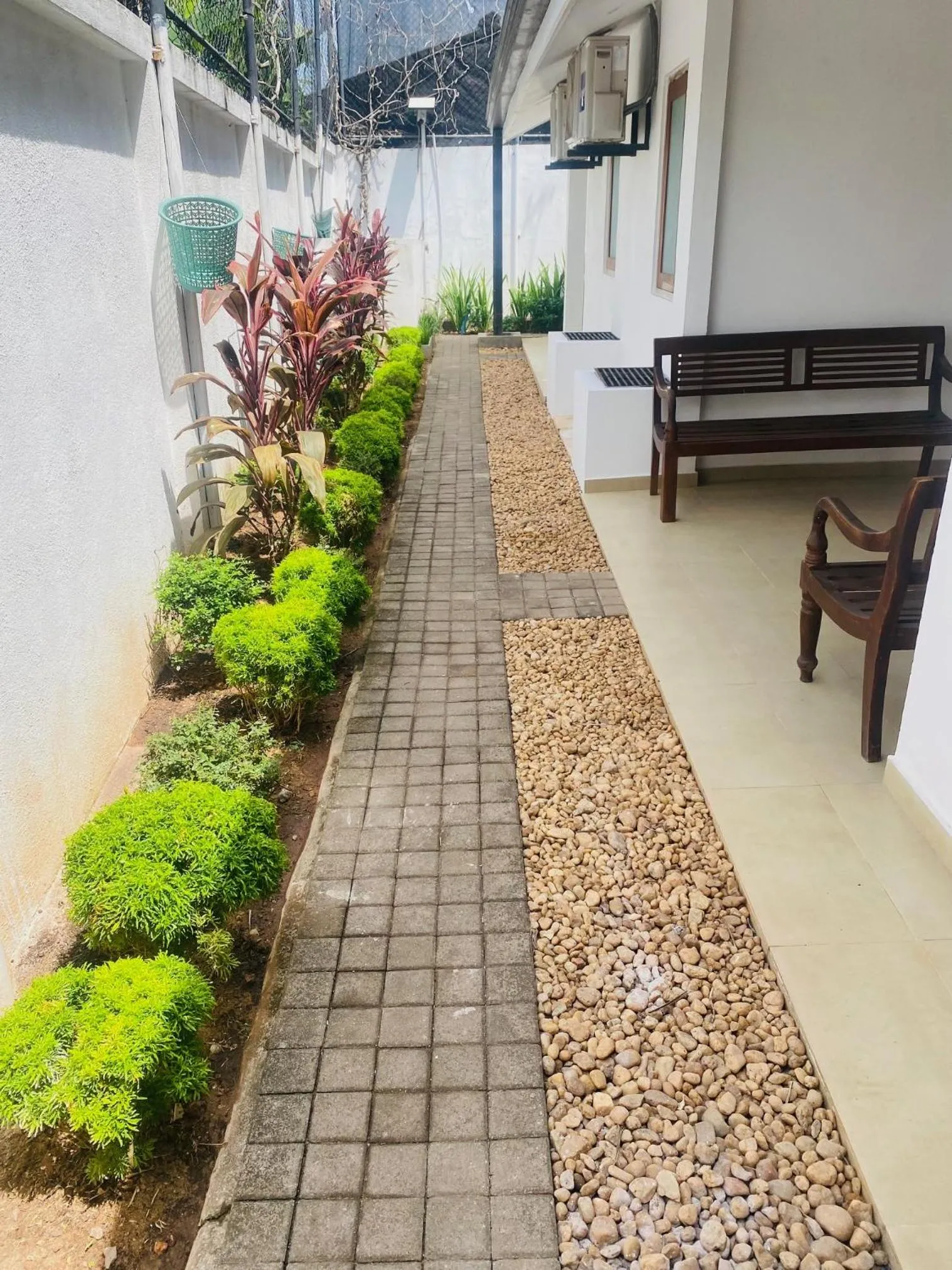 Garden in Hotel Cloud 9 Negombo