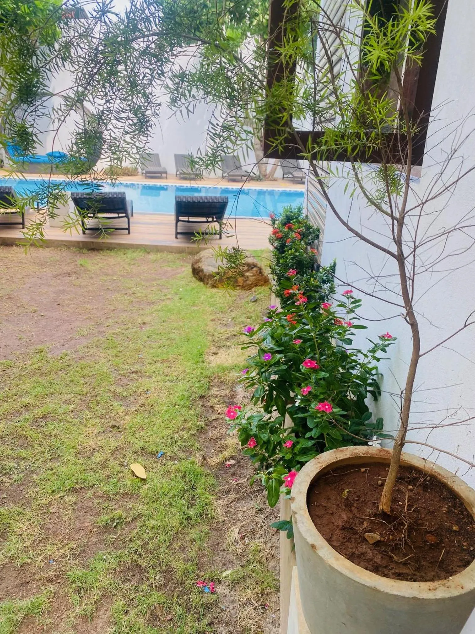 Garden in Hotel Cloud 9 Negombo